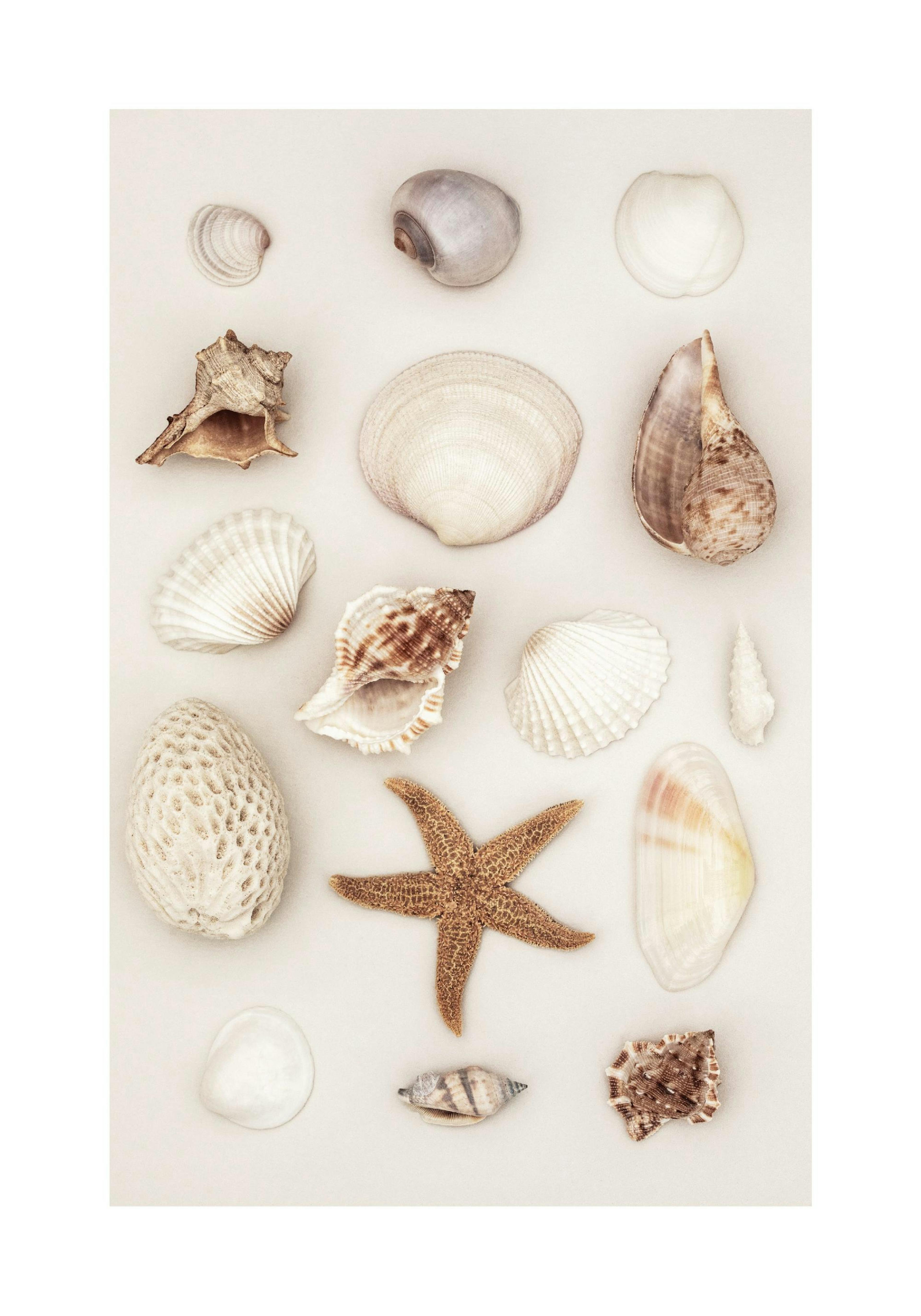 Product image: 1