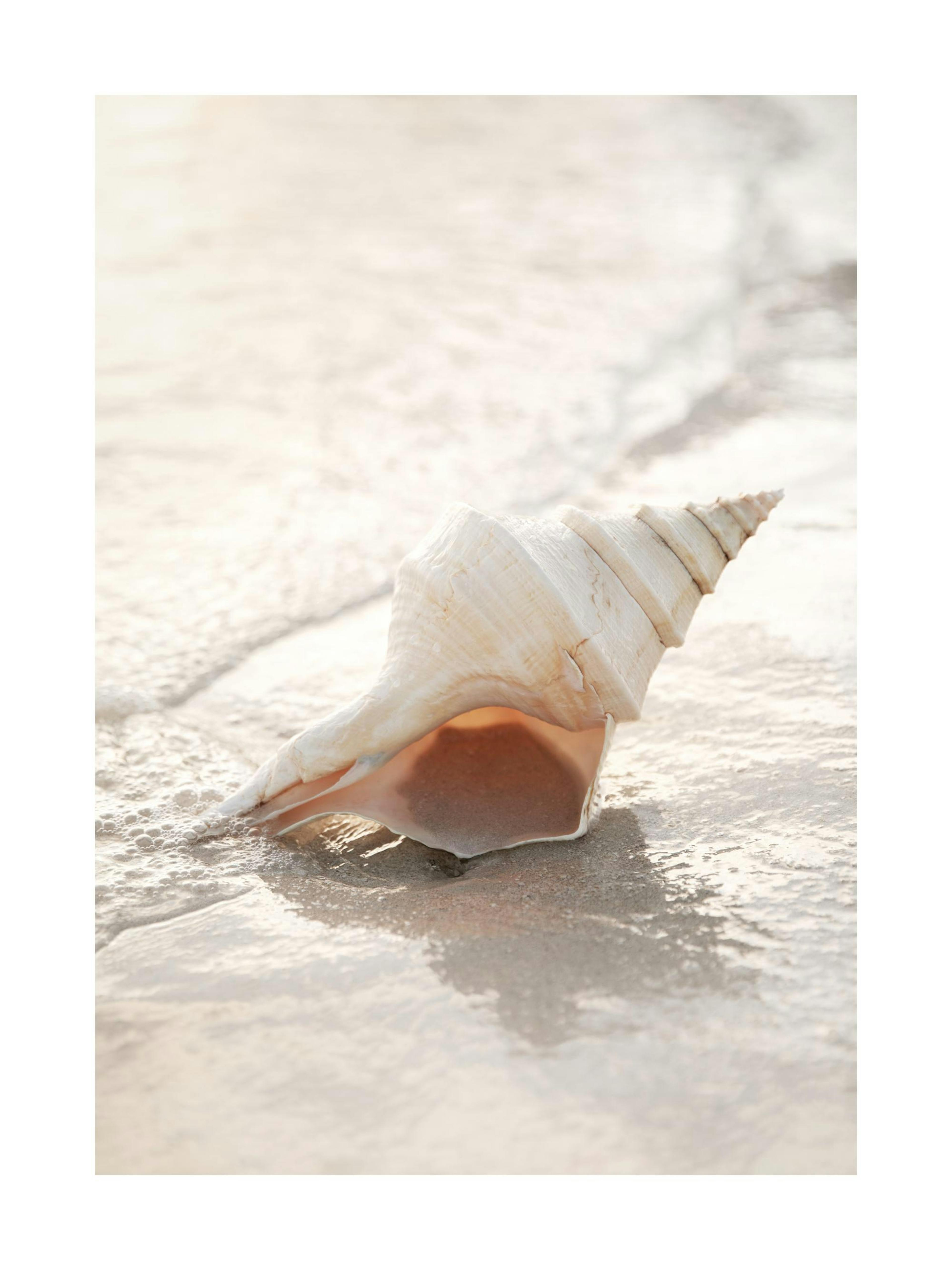 Product image: 1