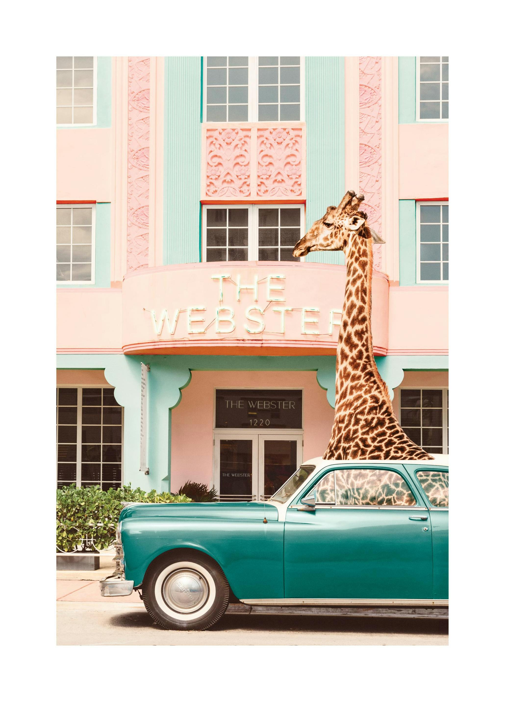 Giraffe Parking Poster (50x70 cm)