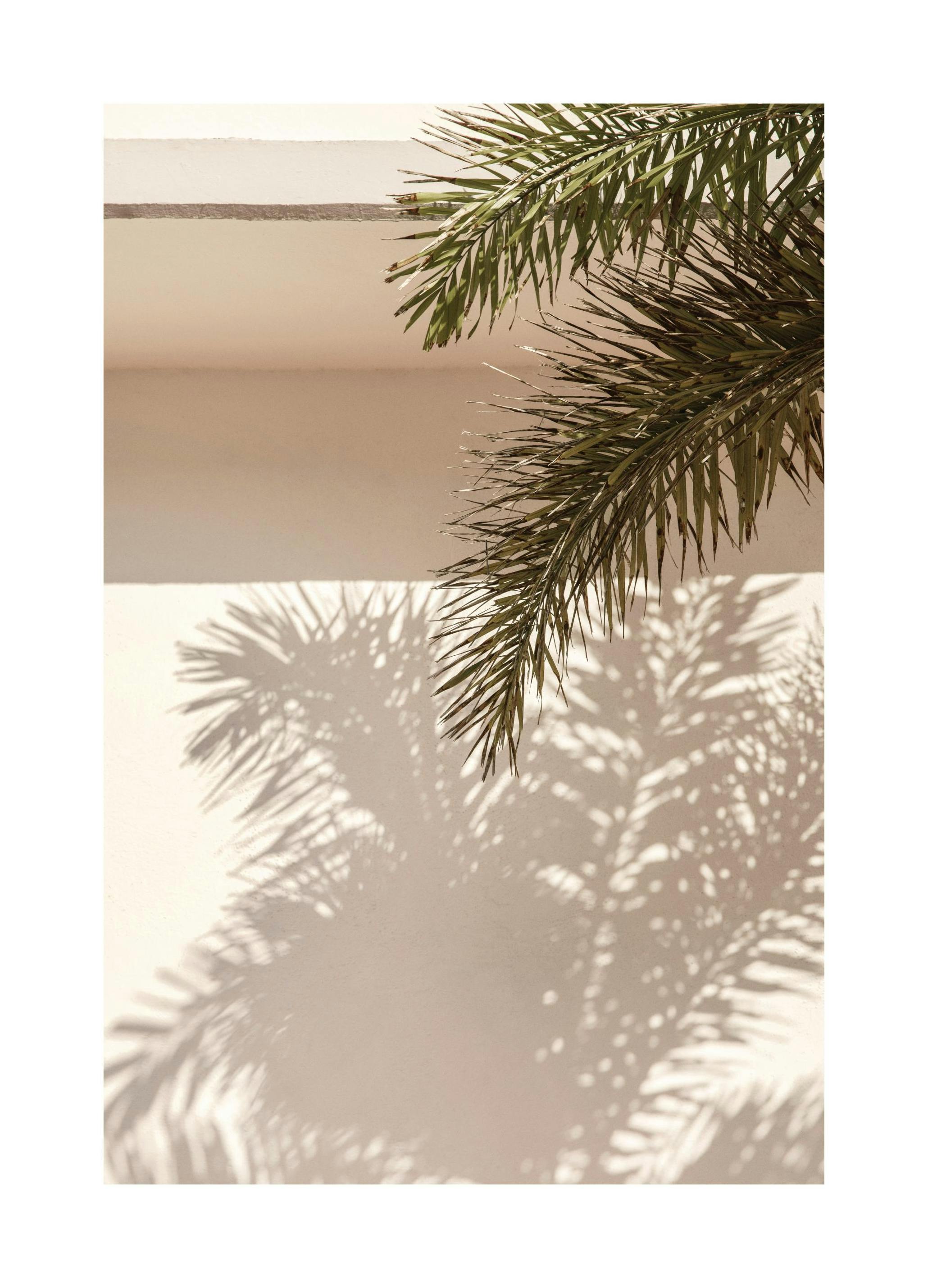Prints - Palm Leaf Shadows Print (30x40 cm) - Palm prints