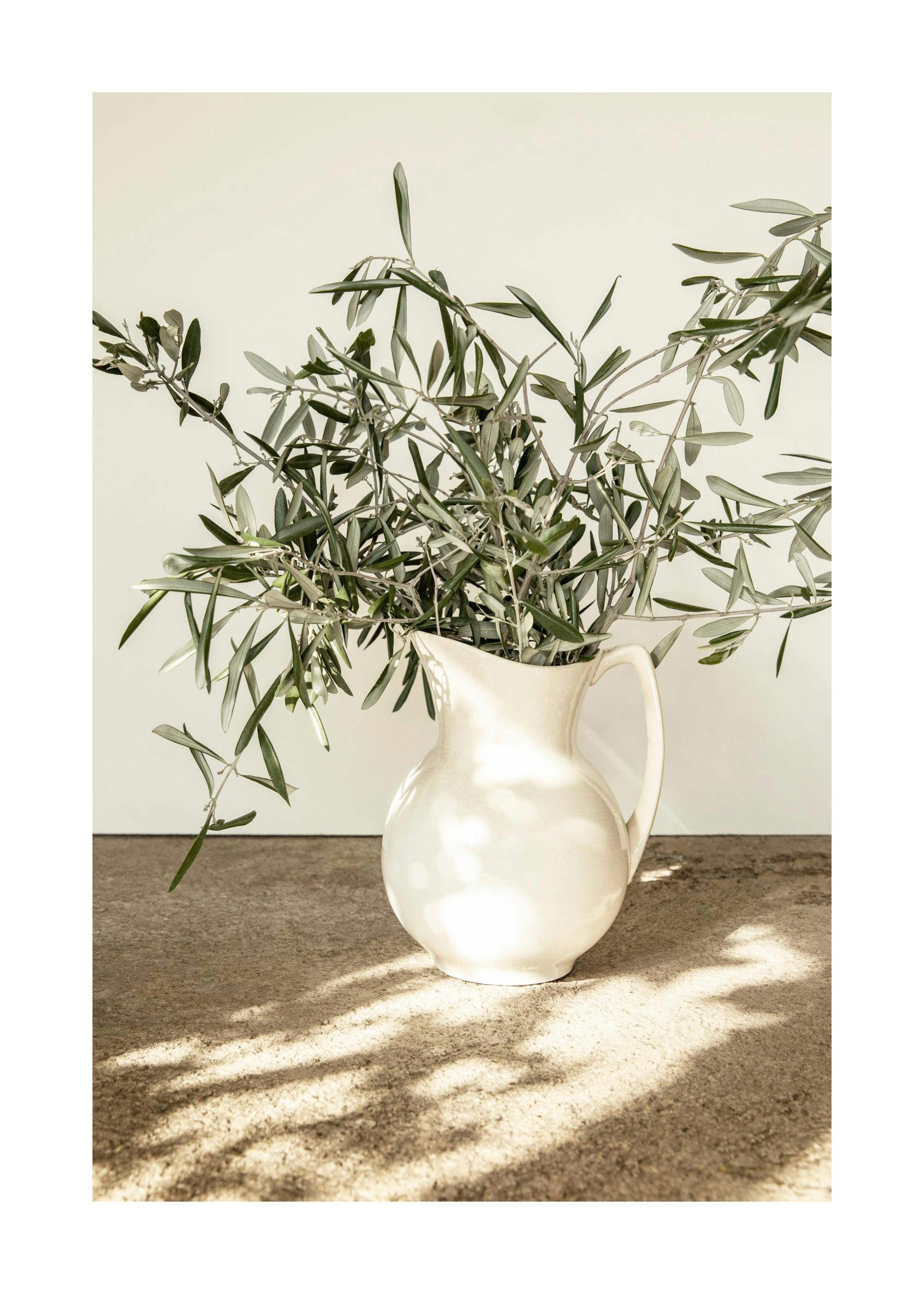 Branches in Vase Poster 0