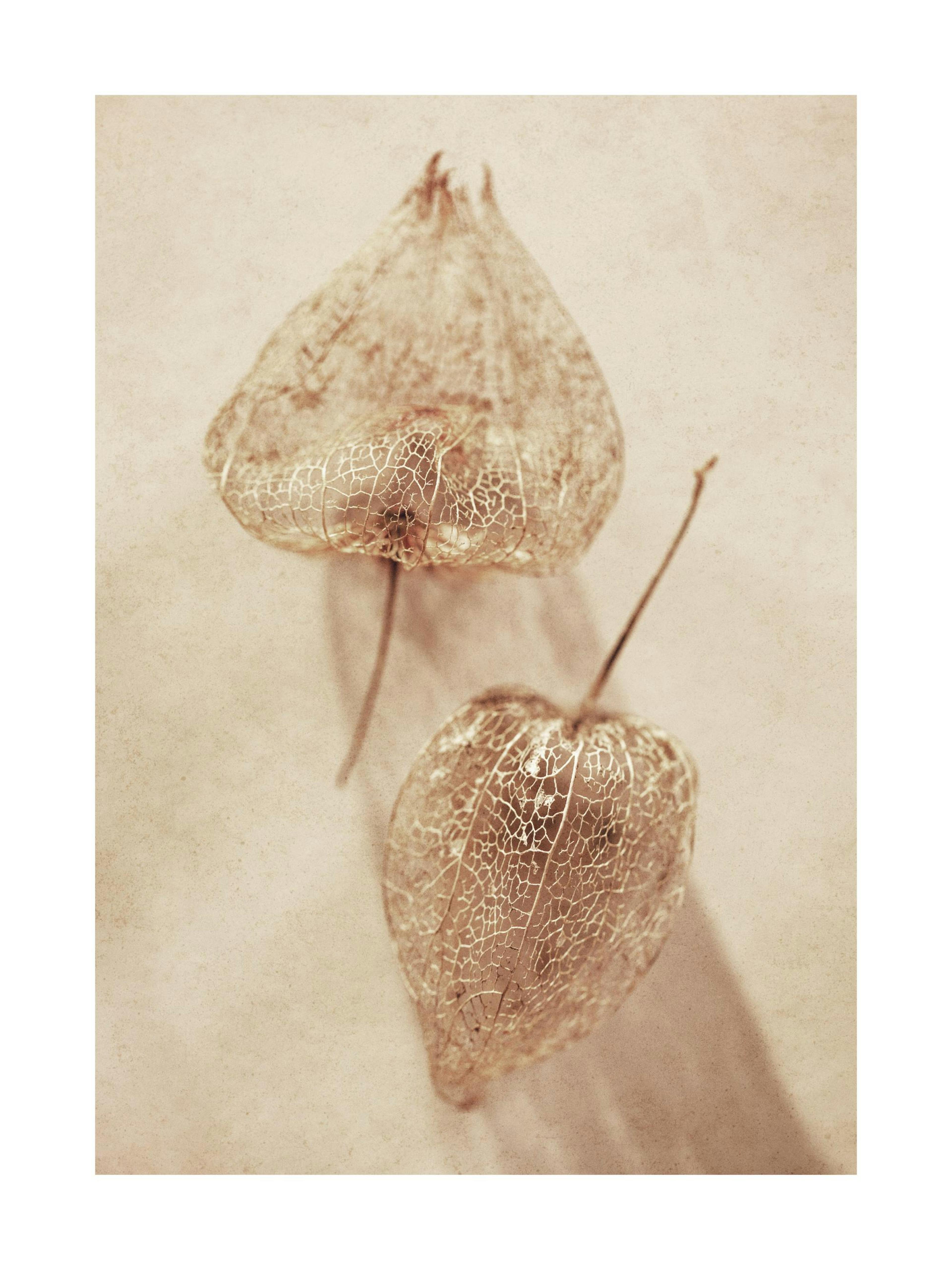 Product image: 1