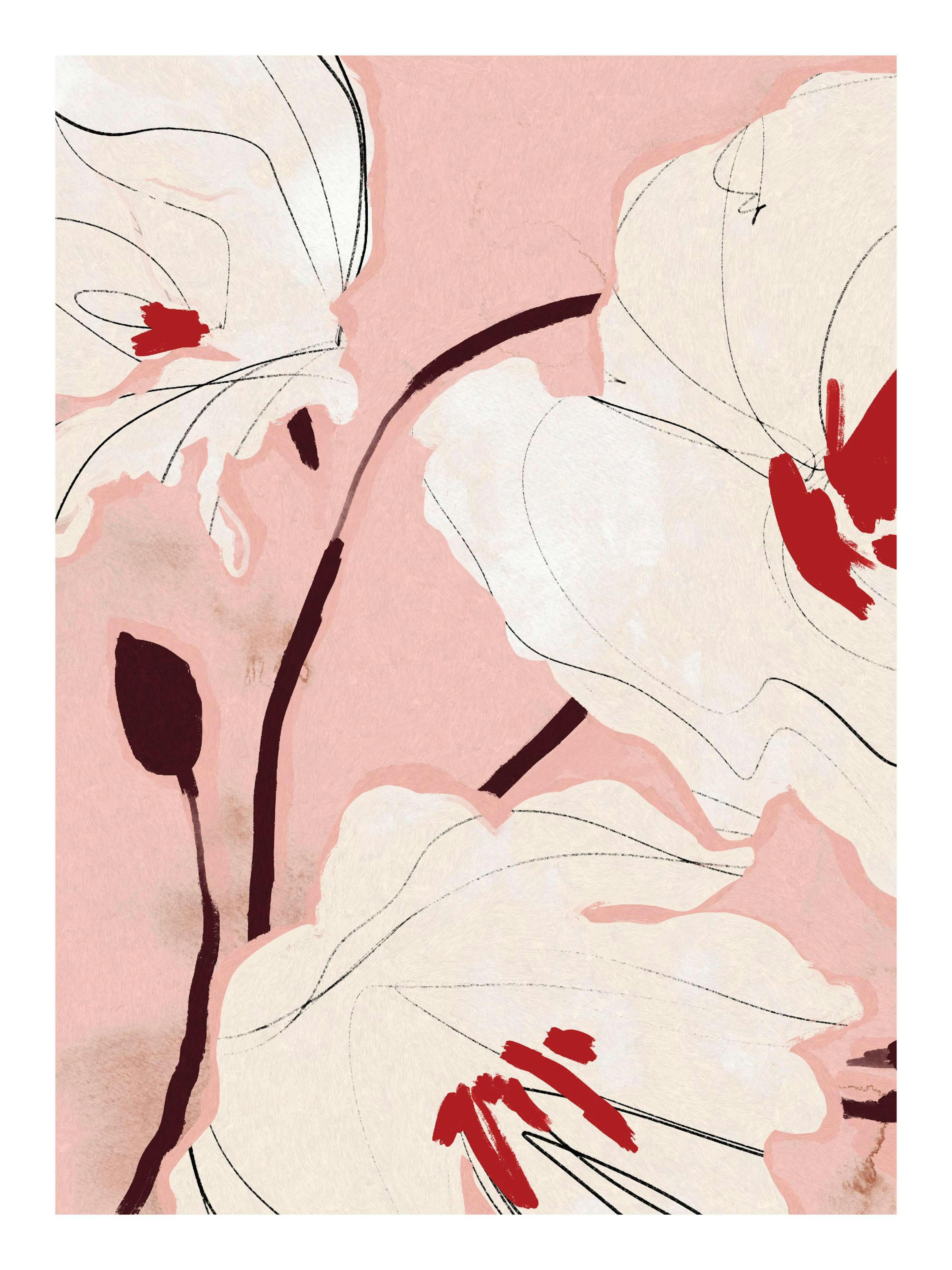 Póster de ilustração floral abstrata com flores brancas e sépalas vermelhas em fundo rosa e toques de preto.
