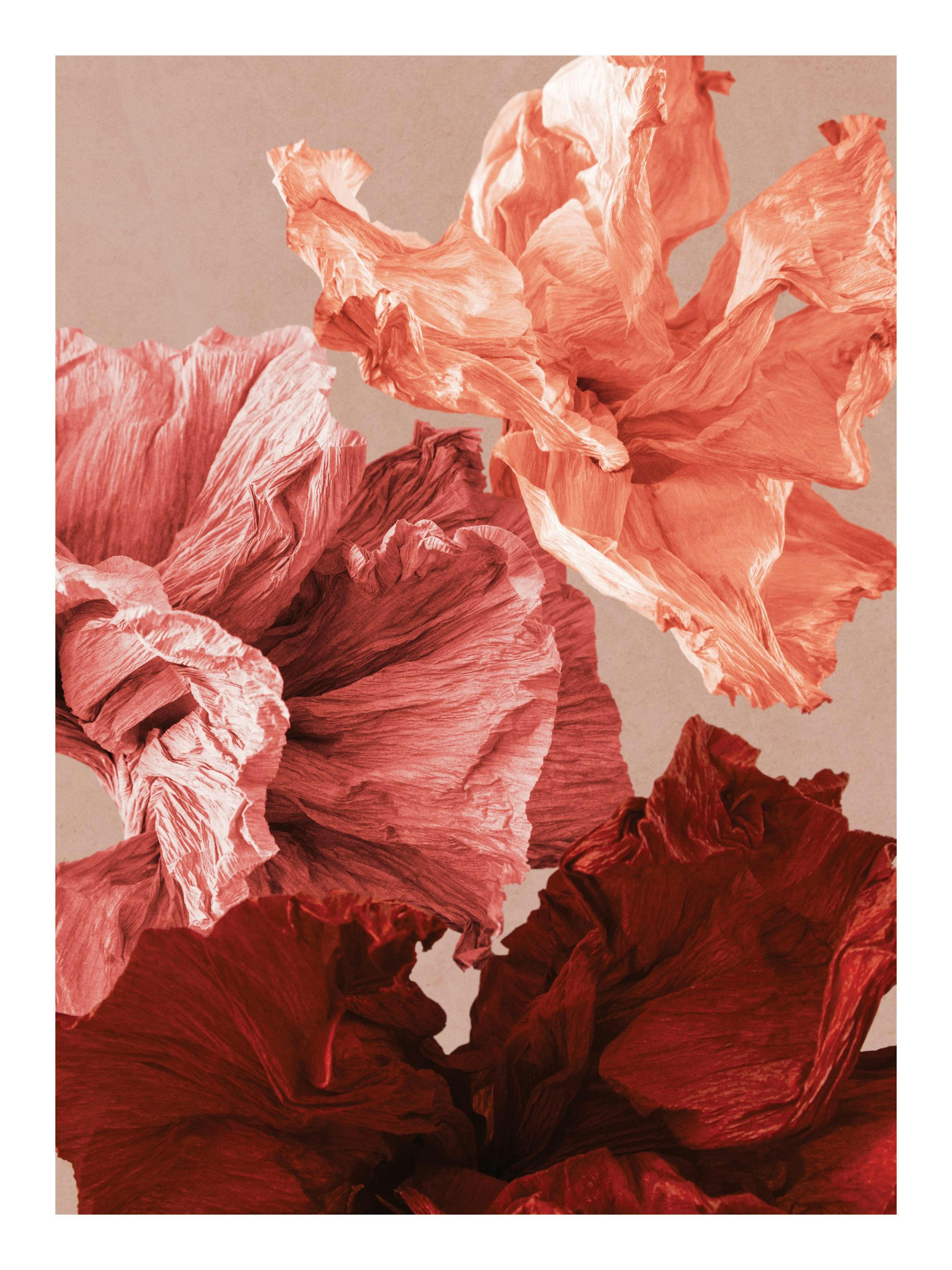 Product image: 1