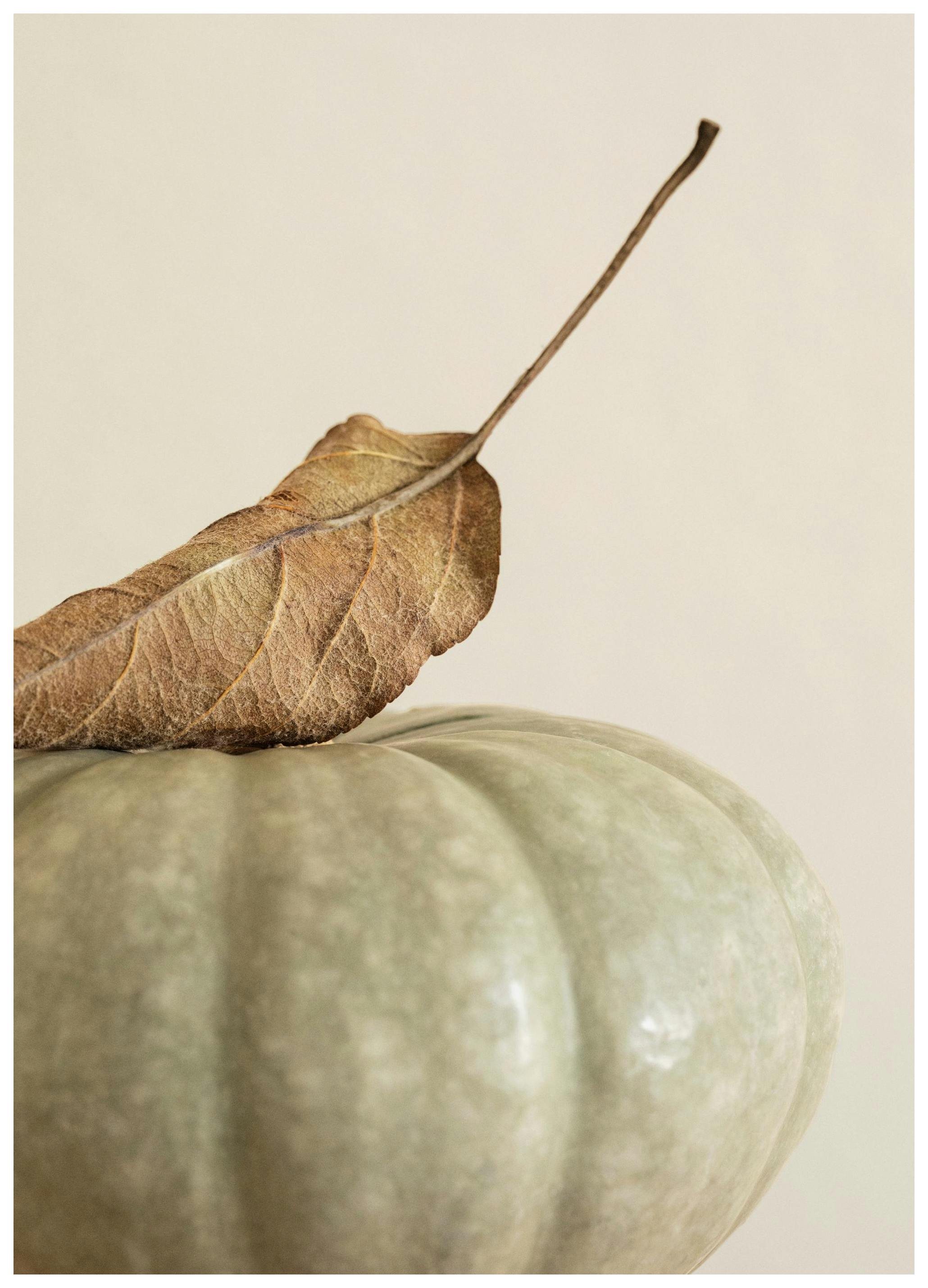 Still Life Autumn Affiche (50x70 cm) - Affiches automnales par Desenio