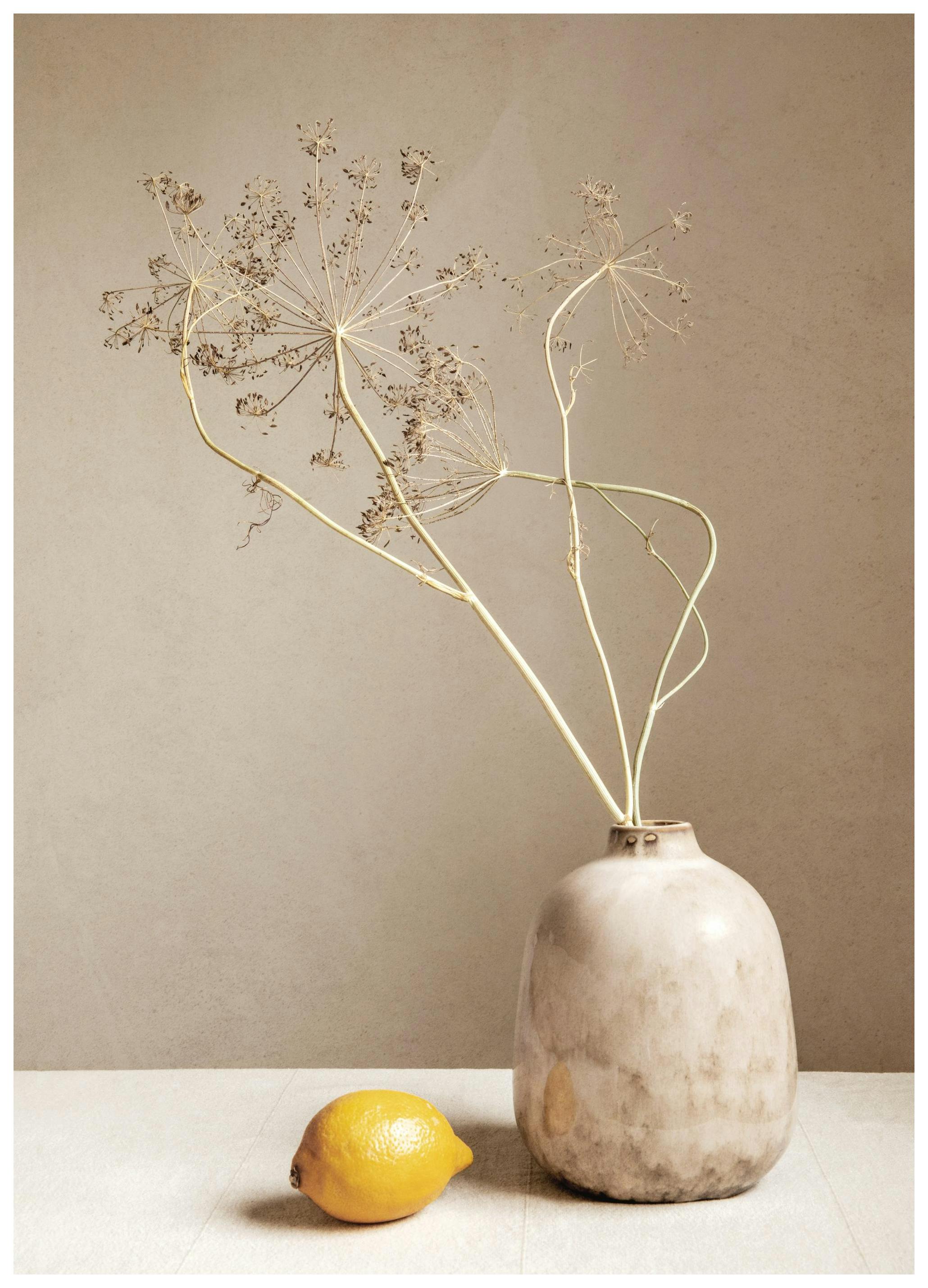 Lemon and Branches Poster (50x70 cm) - Gedroogde planten
