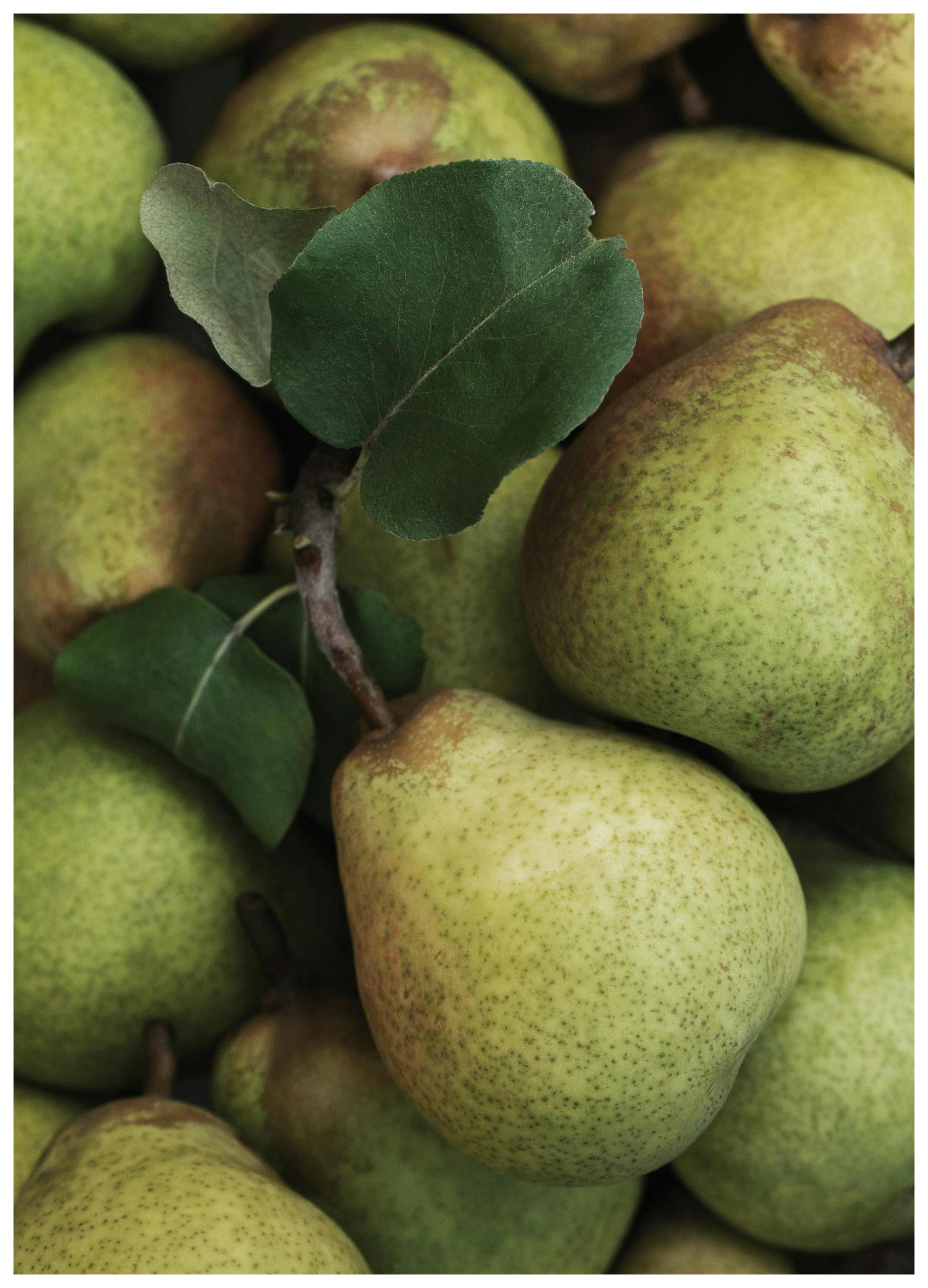 Closeup Pears Poster (50x70 cm) - Eten