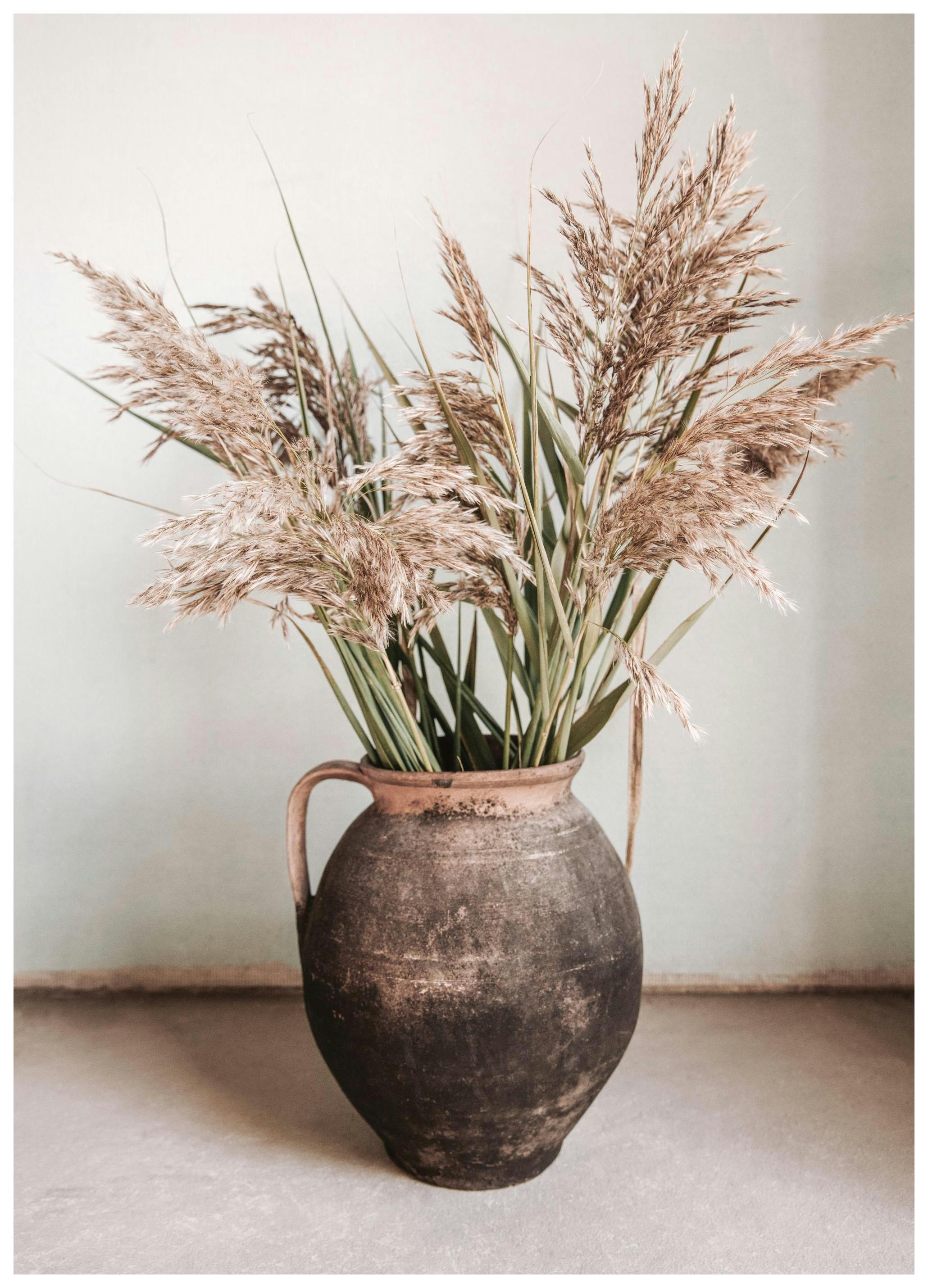 Rustic Reed Vase Poster (50x70 cm)