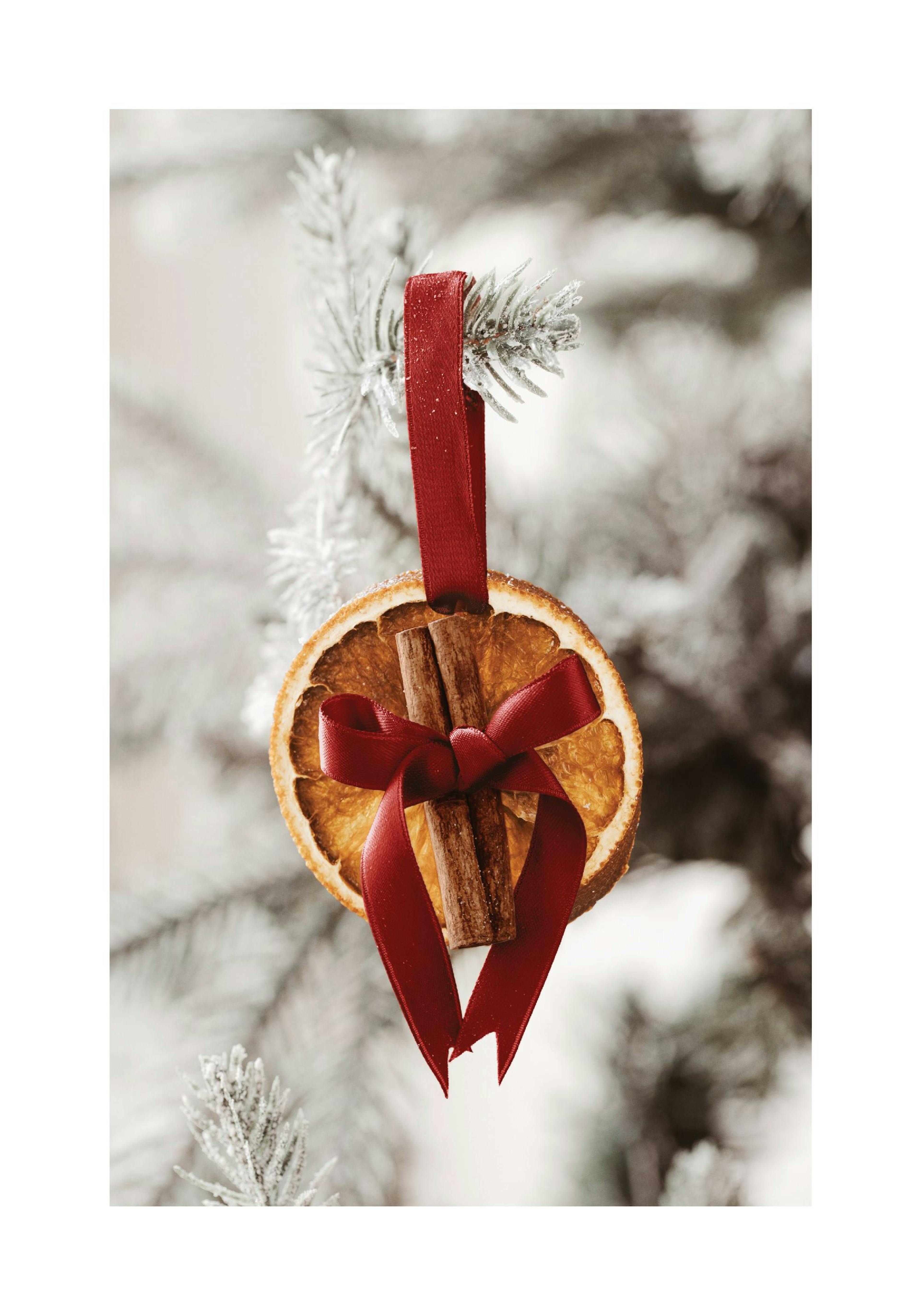 Weihnachtsposter: Getrocknete Orangenscheibe mit Zimtstangen, an rotem Band, vor verschneitem Ast