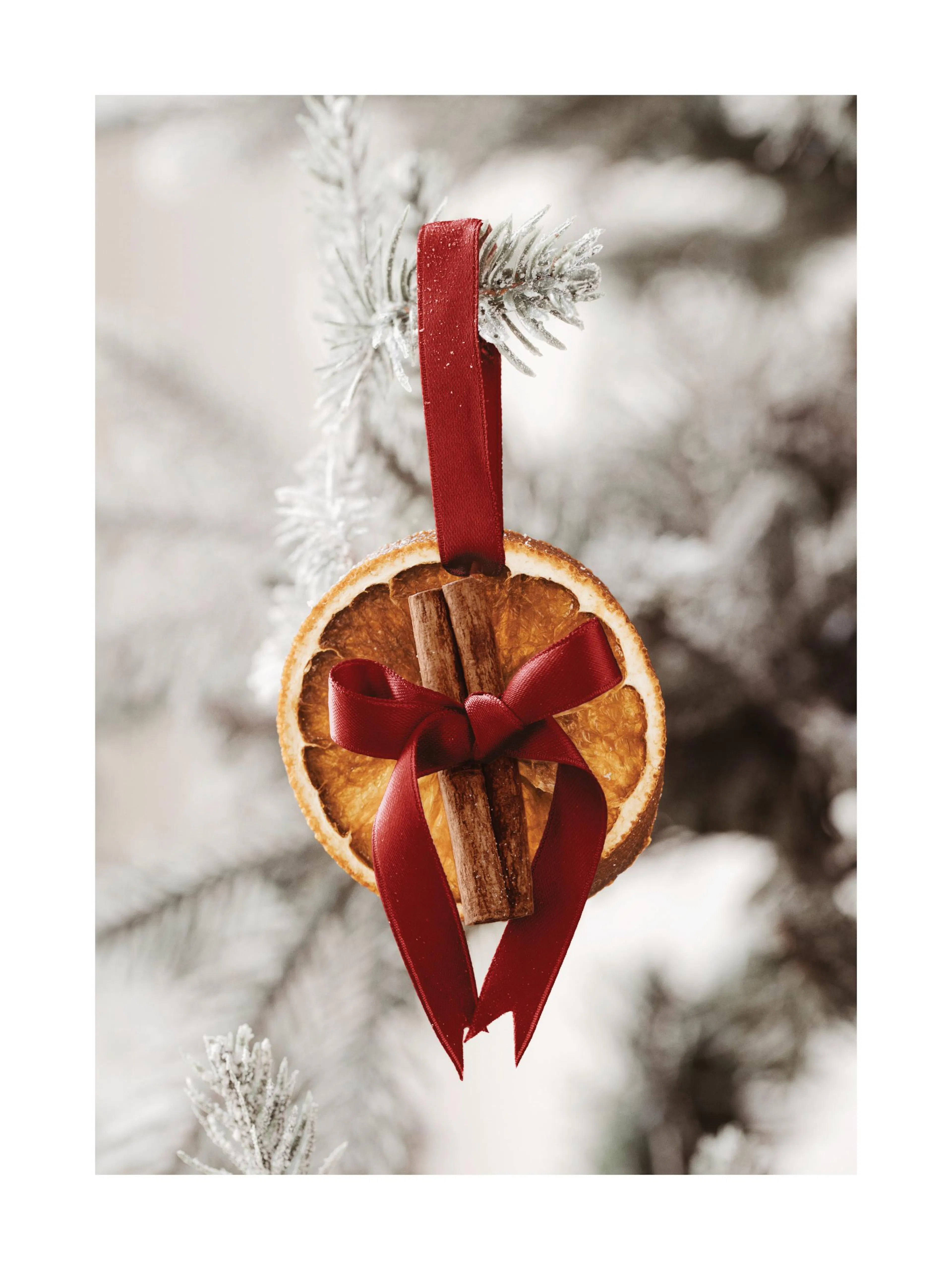 Rodaja de naranja seca con canela y cinta roja, colgada de una rama de pino nevada, arte navideño invernal.