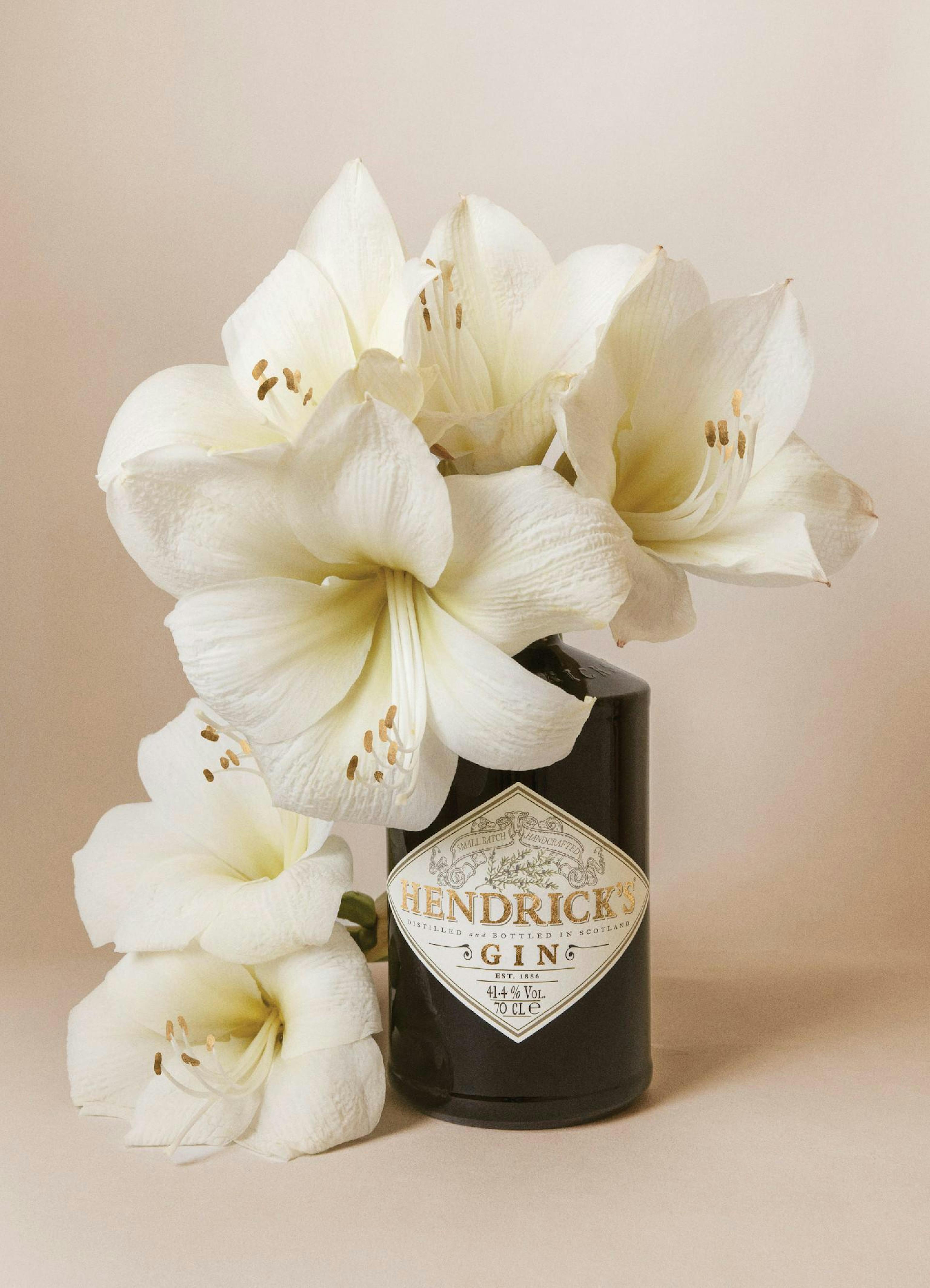 Botella de Hendricks Gin oscura con etiqueta blanca, rodeada de delicadas flores blancas, sobre fondo neutro.