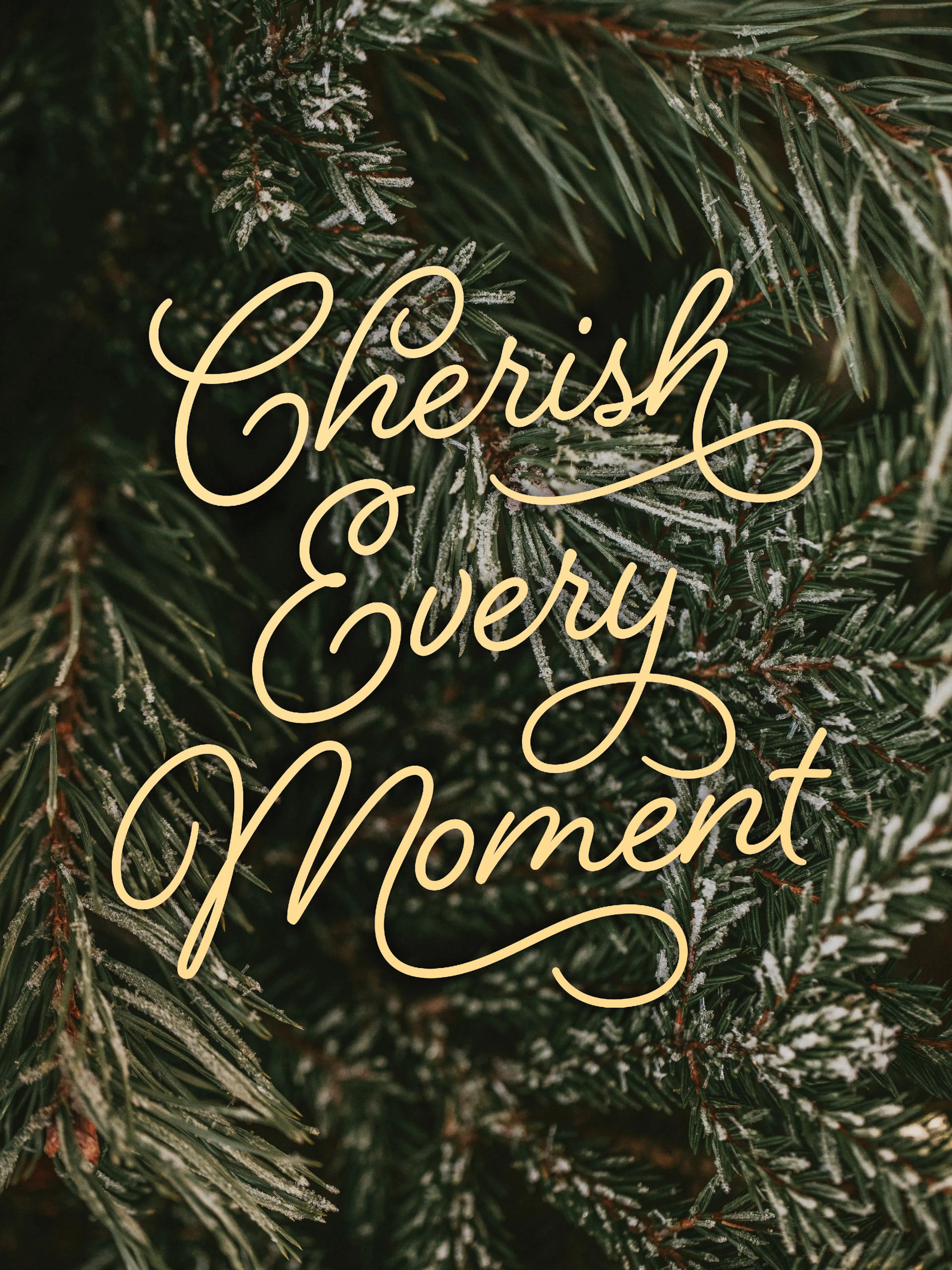 Festive holiday print with frosty pine branches and yellow cursive text Cherish Every Moment.