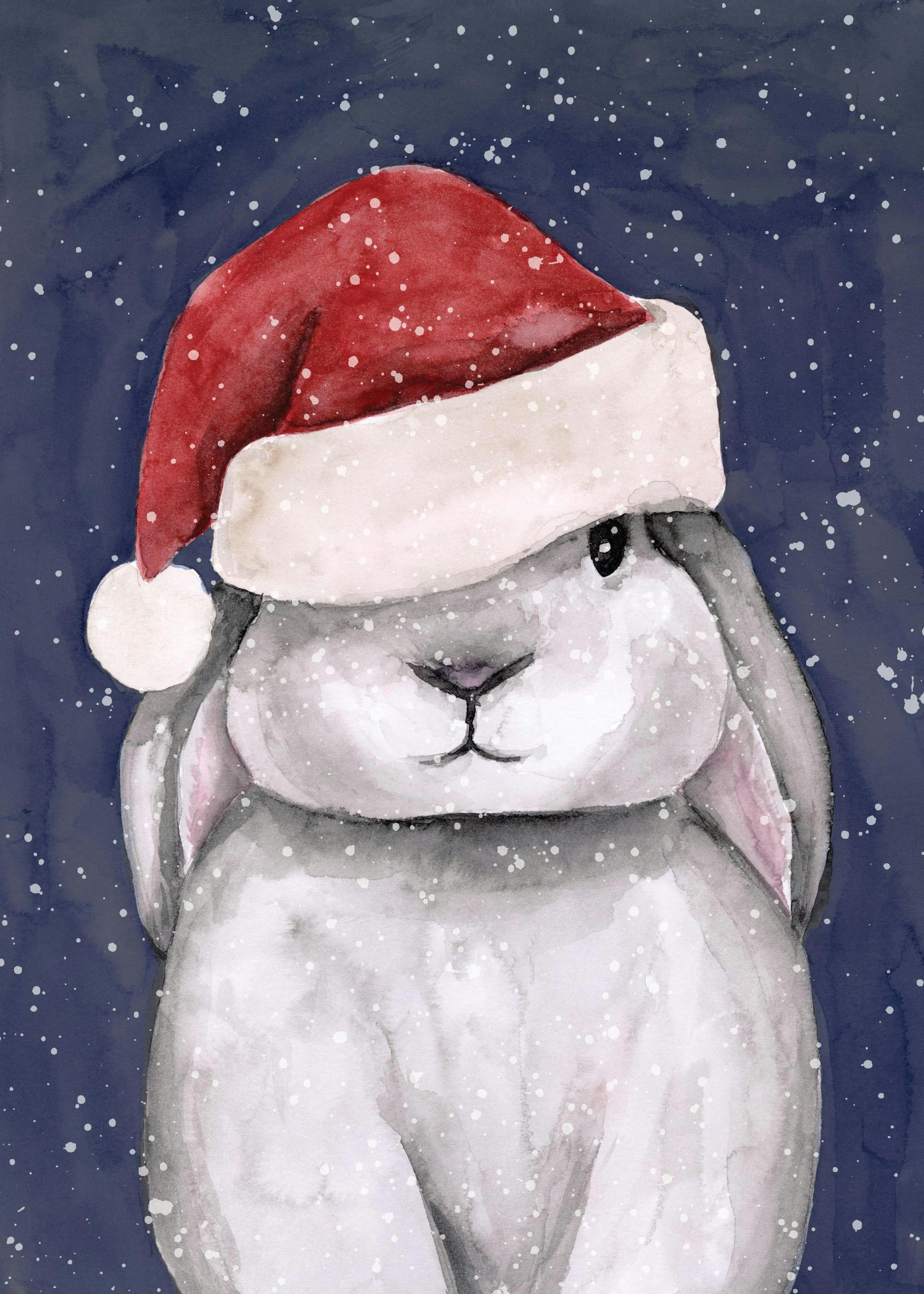Christmas Bunny Plakat 0