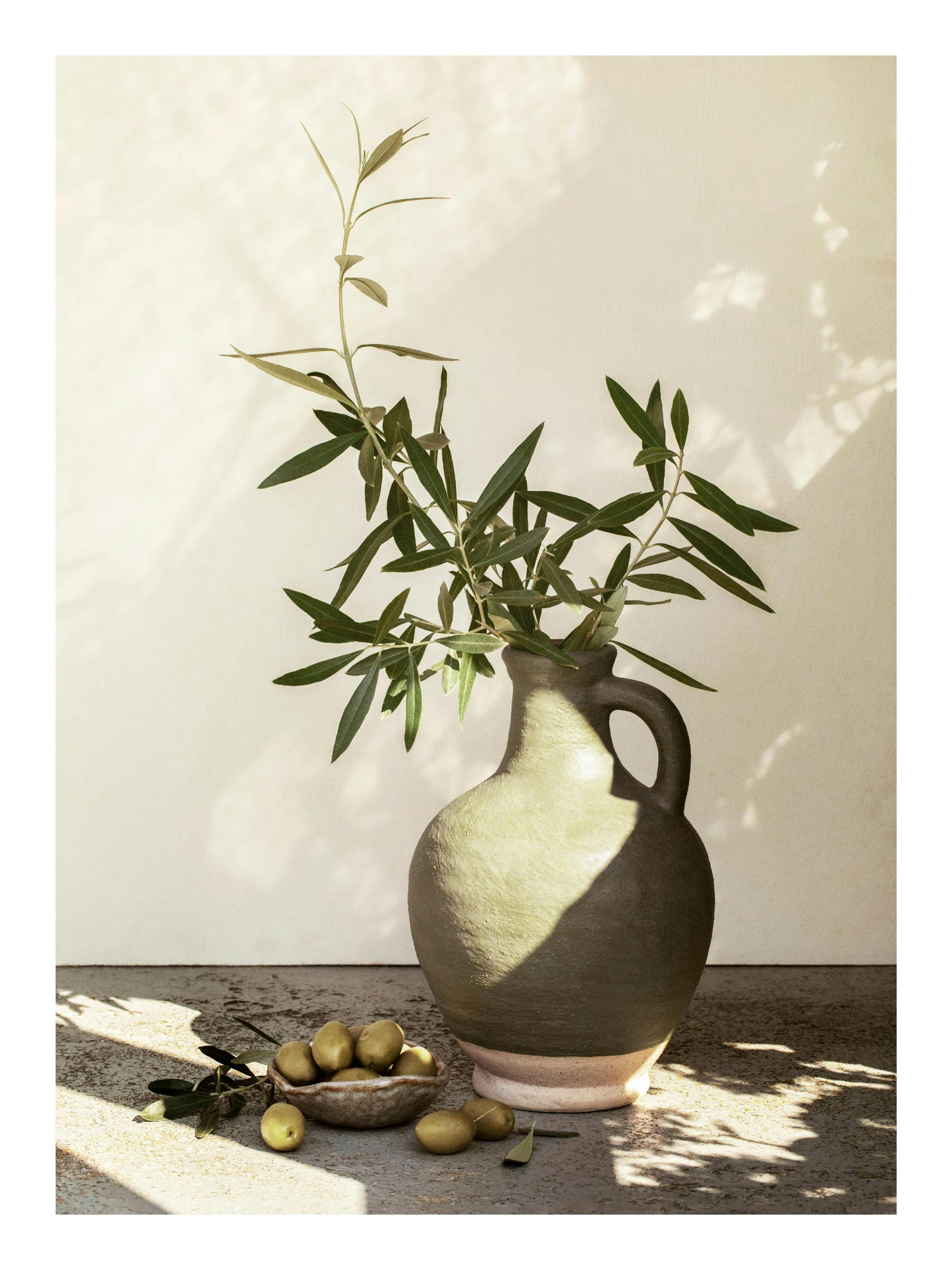 Affiche dun vase rustique avec des branches dolivier et des olives éparpillées pour une ambiance méditerranéenne