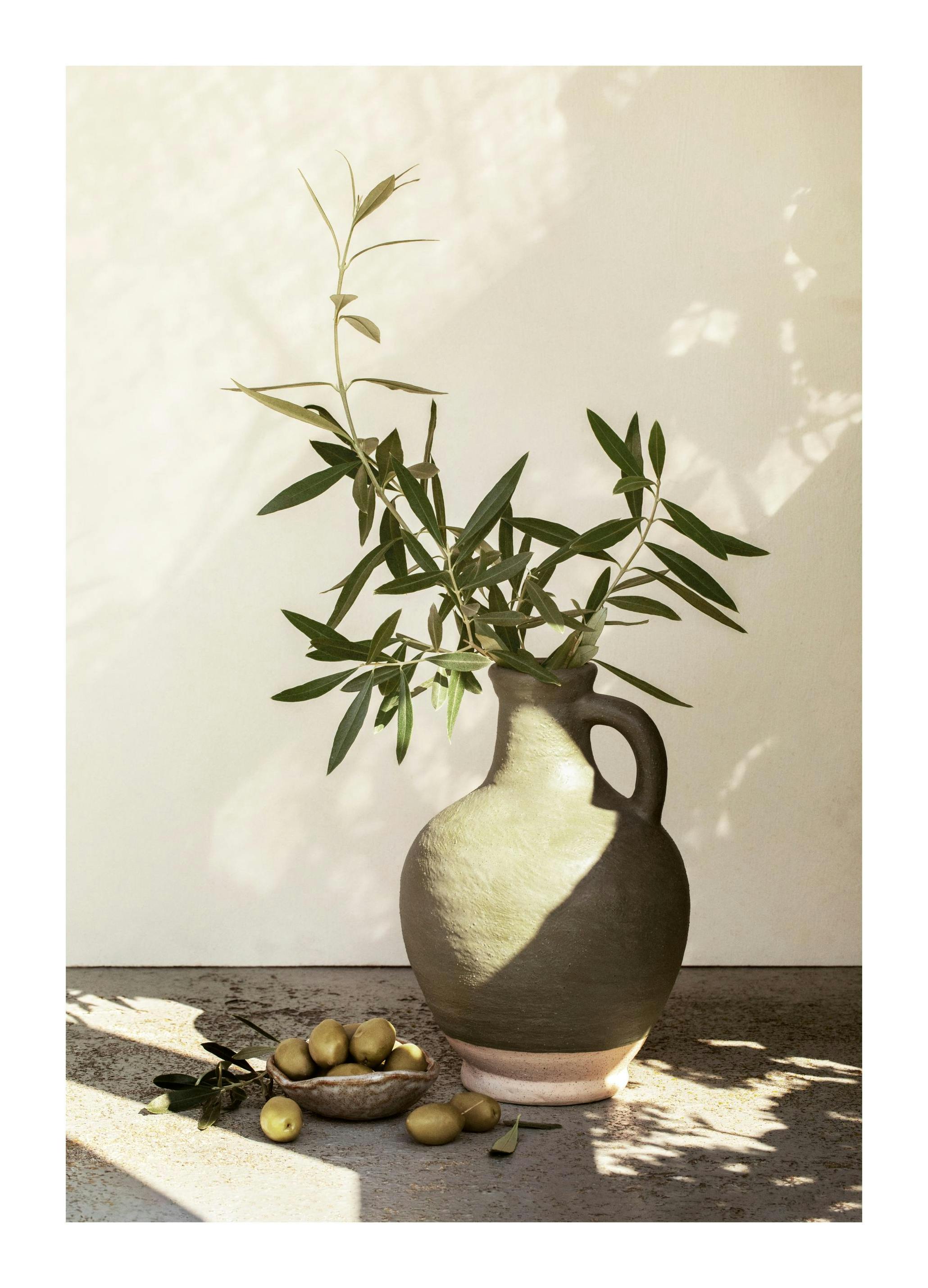 Prints - Sunlit Olives Print (50x70 cm) - Kitchen wall art