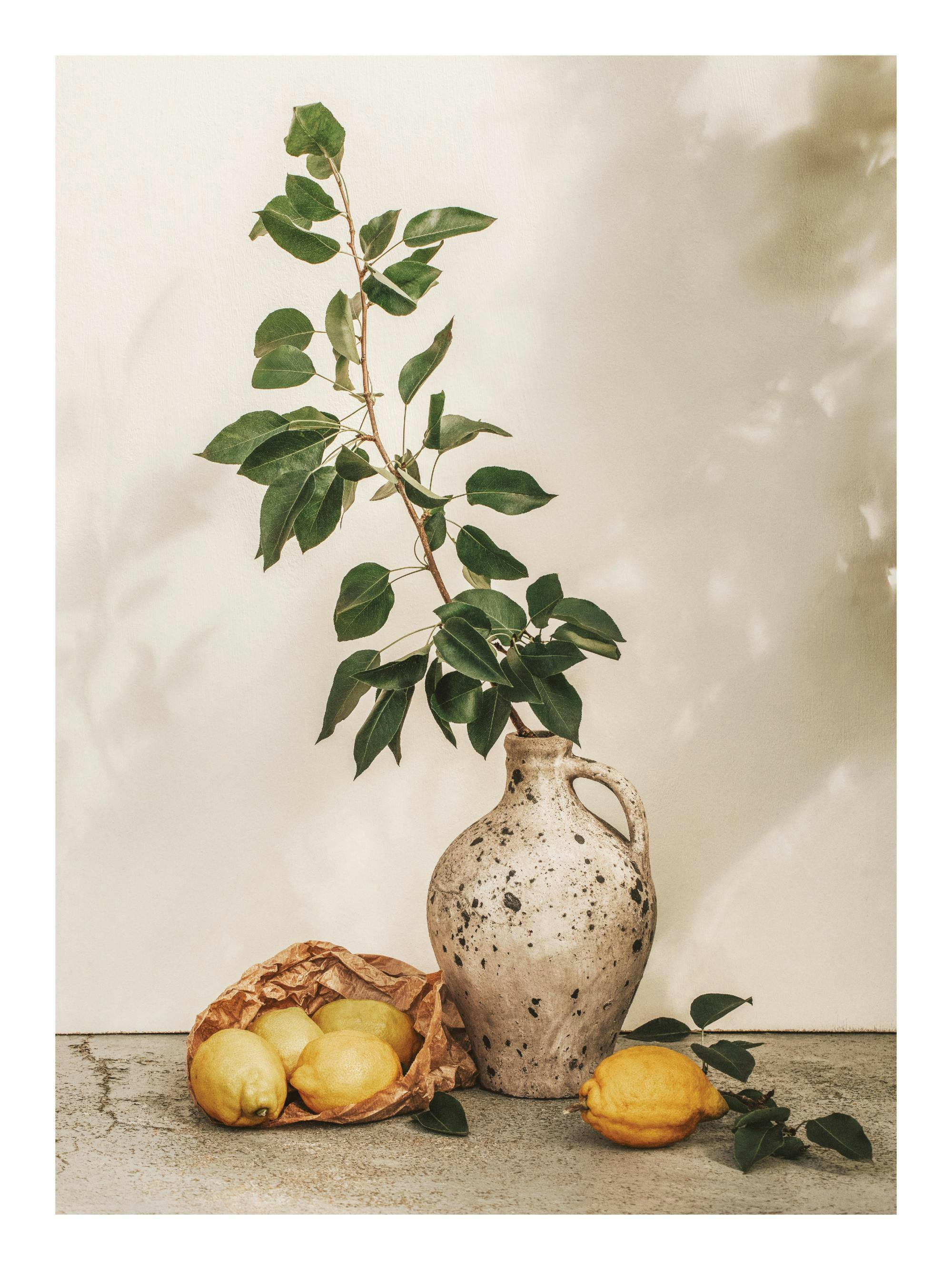 Stilleben med beige vas, grön gren, citroner i papperspåse på grå yta, solsken.