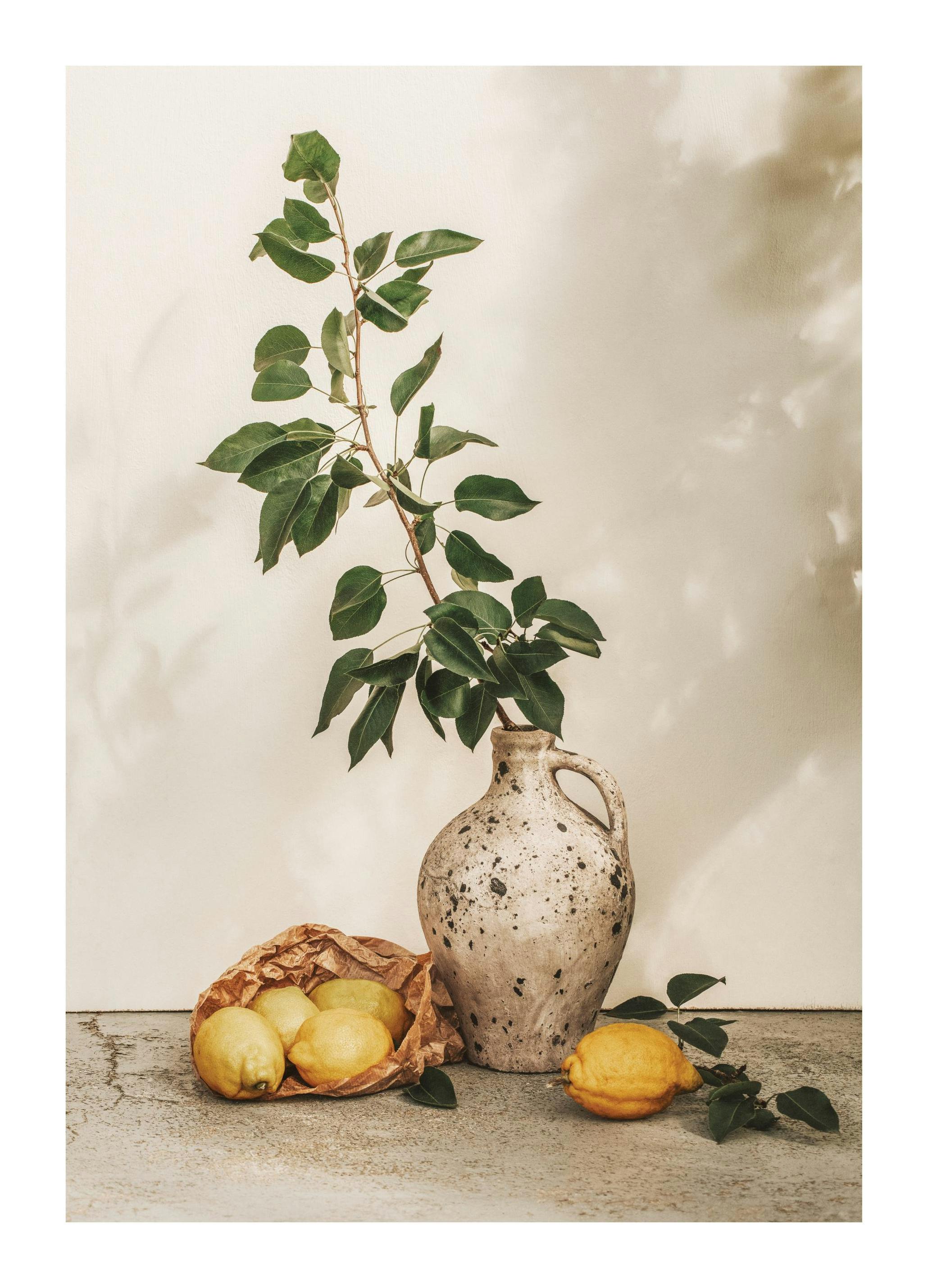 Afternoon Lemons Print (30x40 cm)