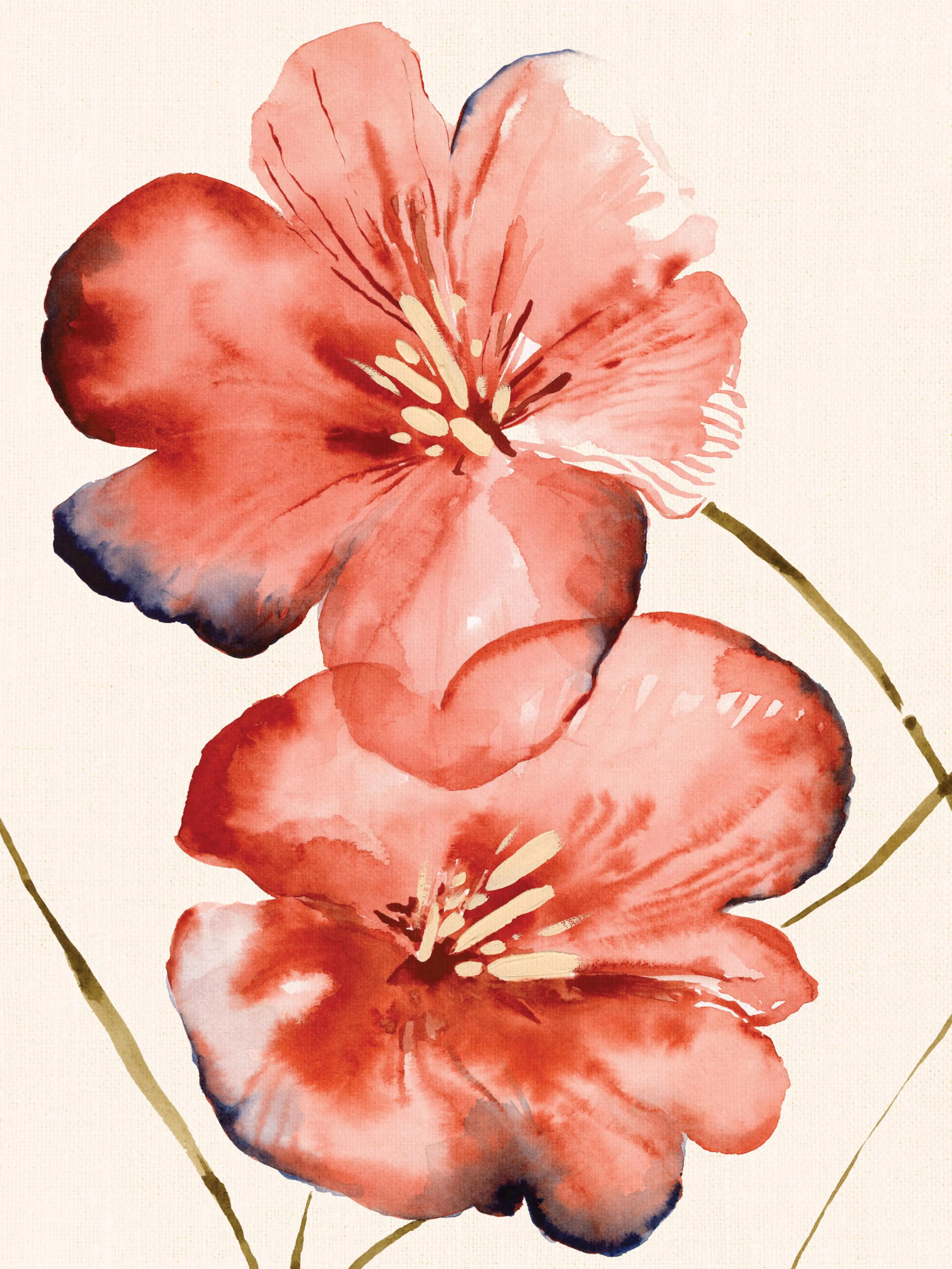 A floral print featuring two large watercolour flowers in shades of red and coral with dark blue accents, on a cream background.