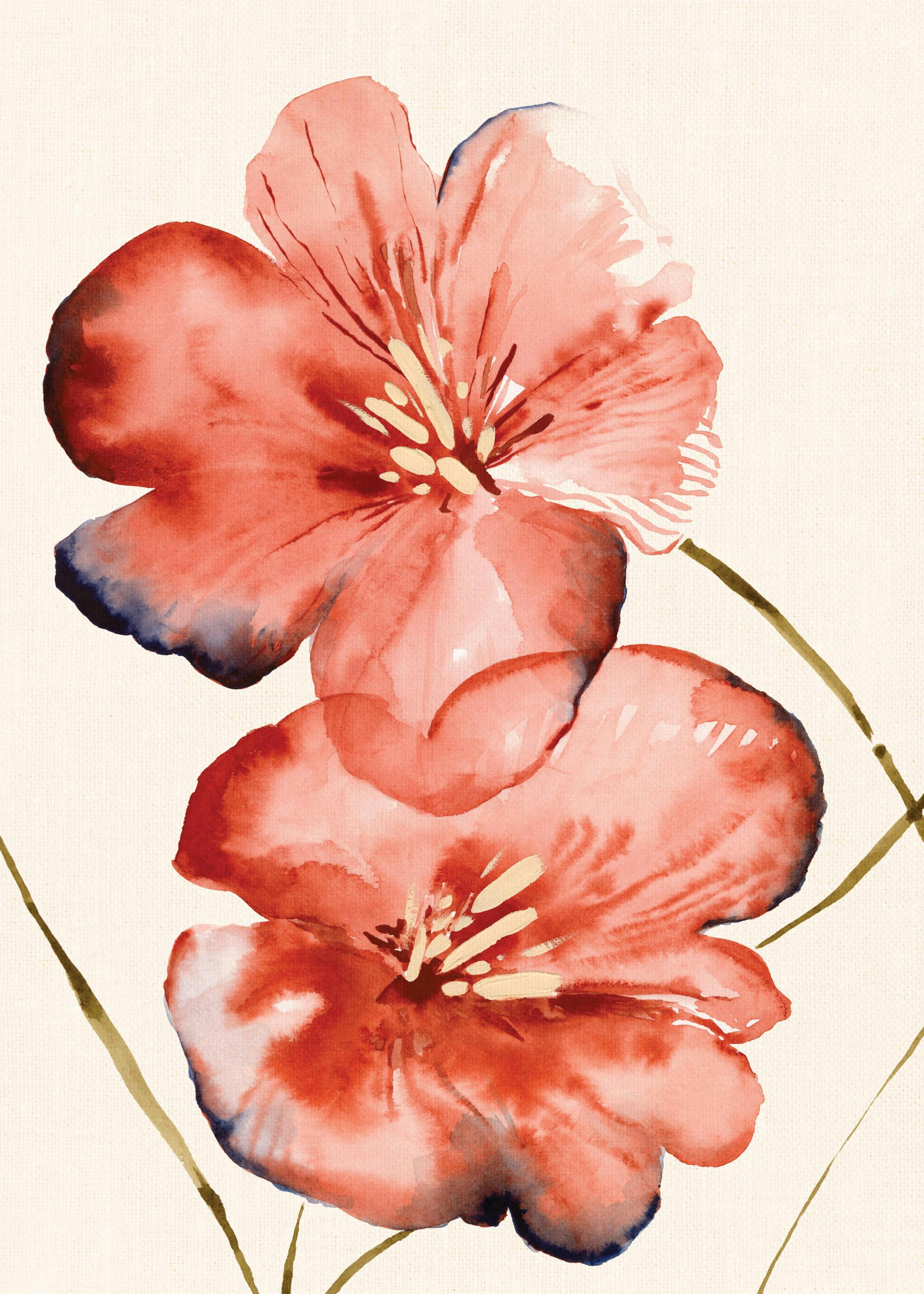 Soft Red Flowers Print 0
