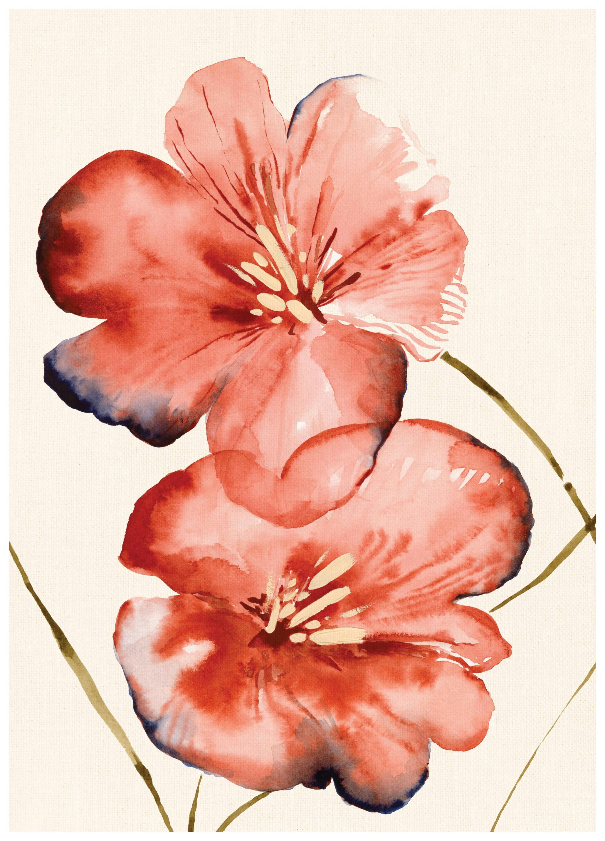 Soft Red Flowers Plakat (50x70 cm)- Obrazy akwarelowe