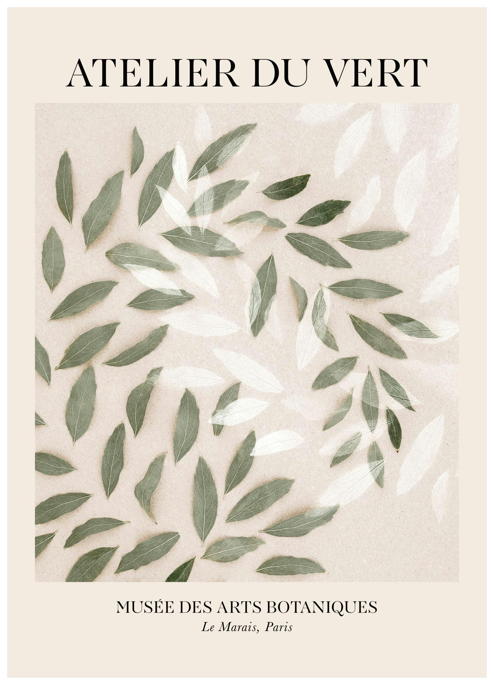 Atelier du Vert Poster (50x70 cm)- Posters de plantas verdes