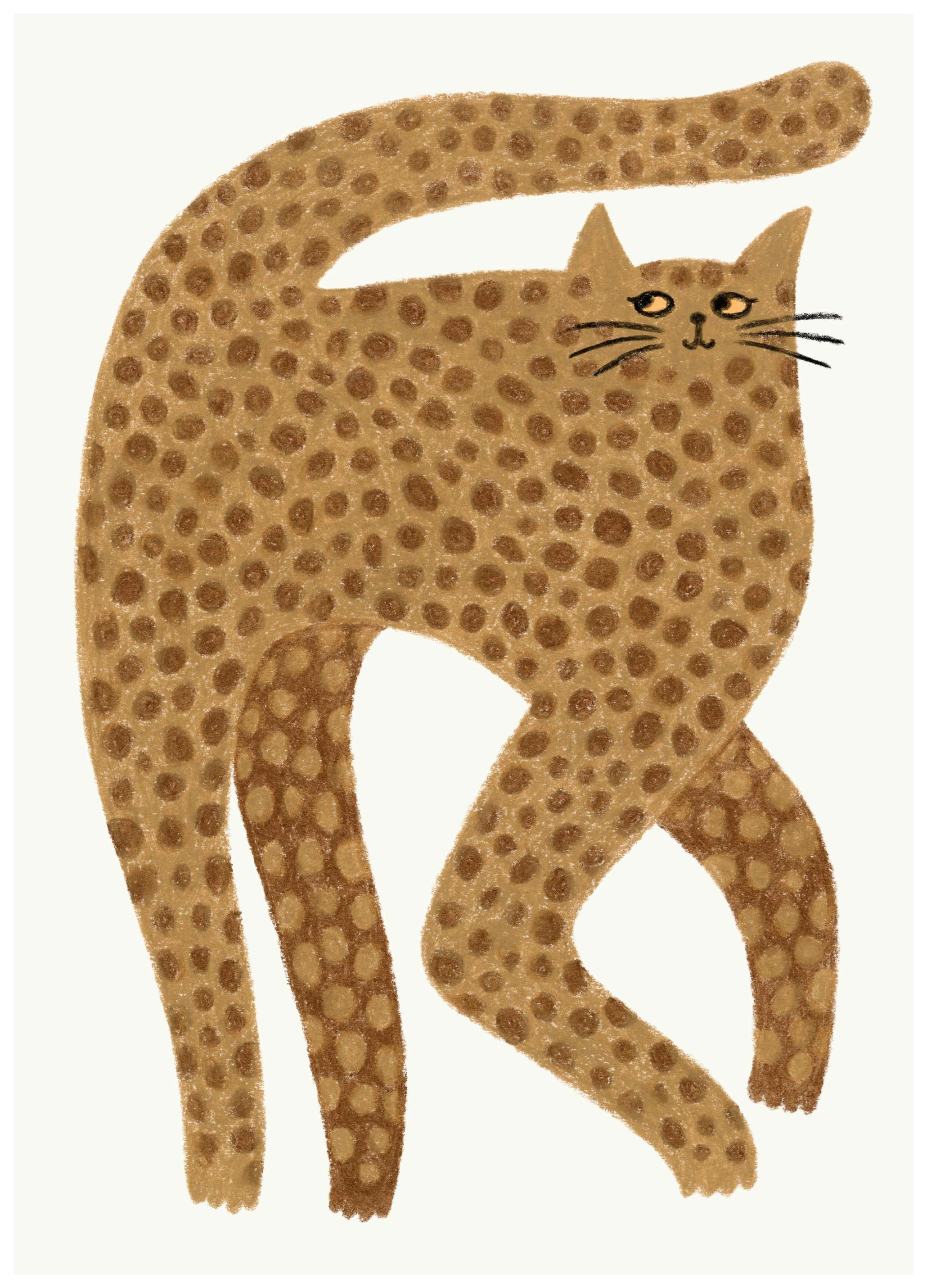 Likable Leopard Affiche (50x70 cm) - Animaux illustrés