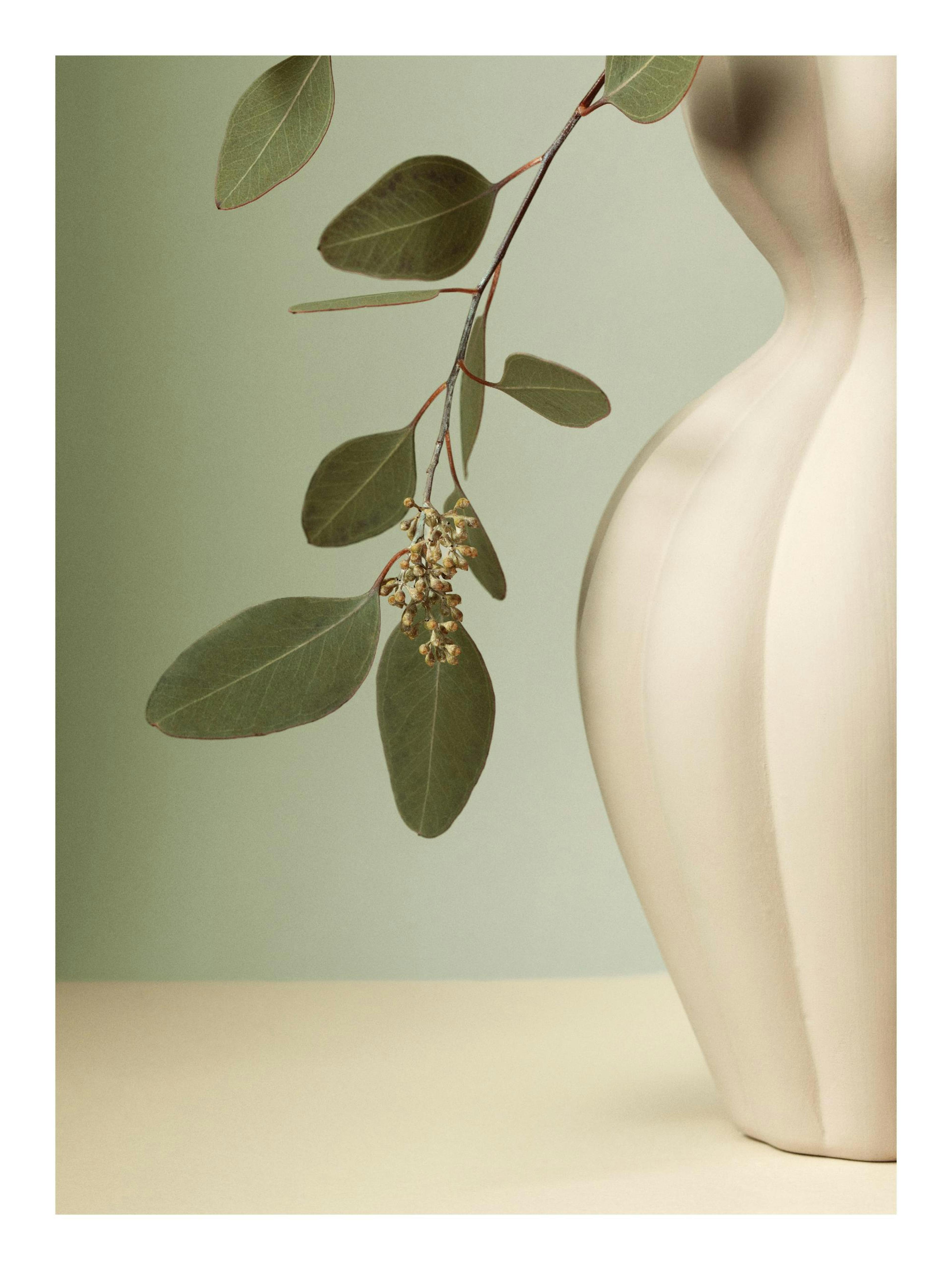 Product image: 1