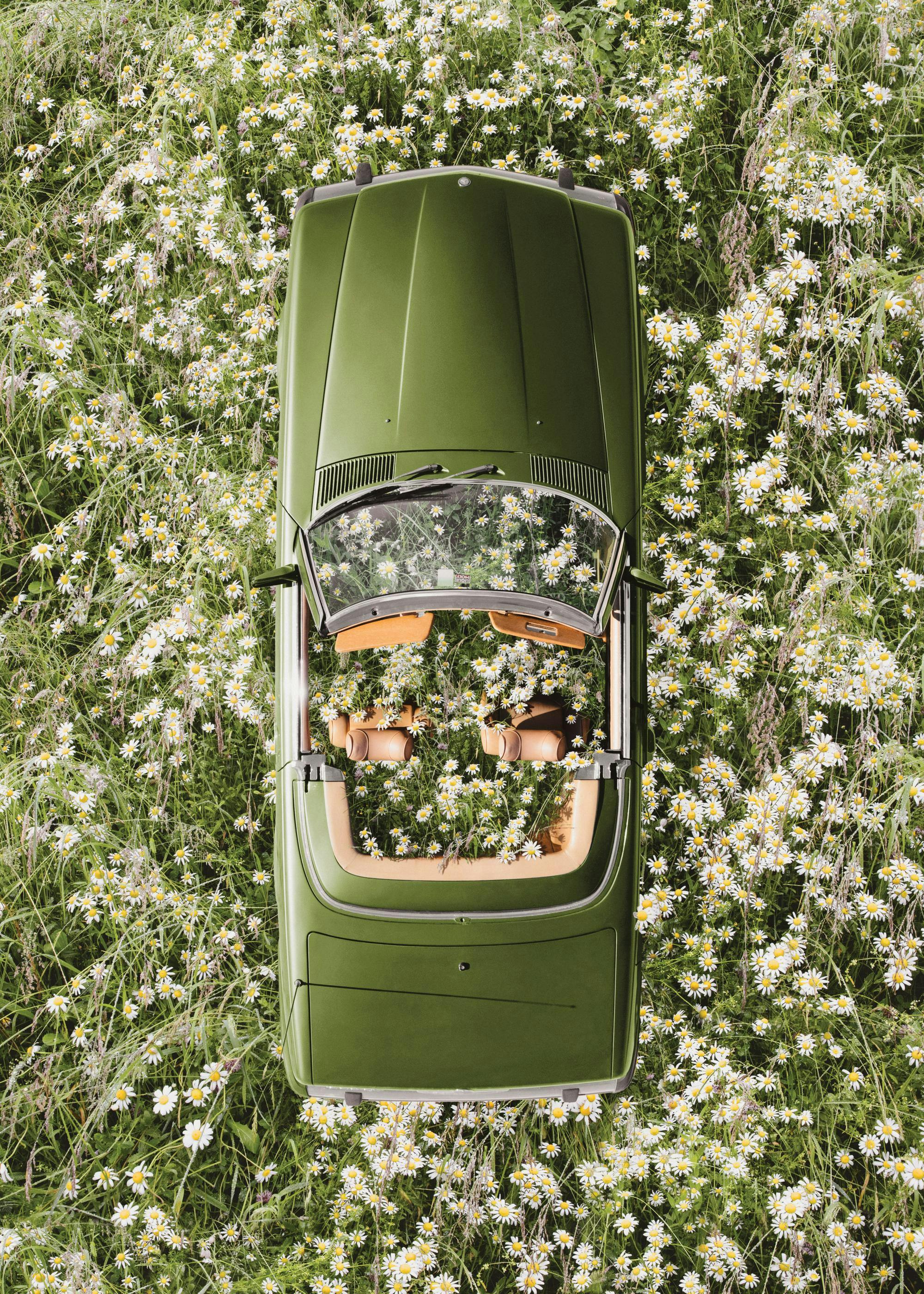 Overhead print of a green convertible car surrounded by a field of white daisies and green foliage.