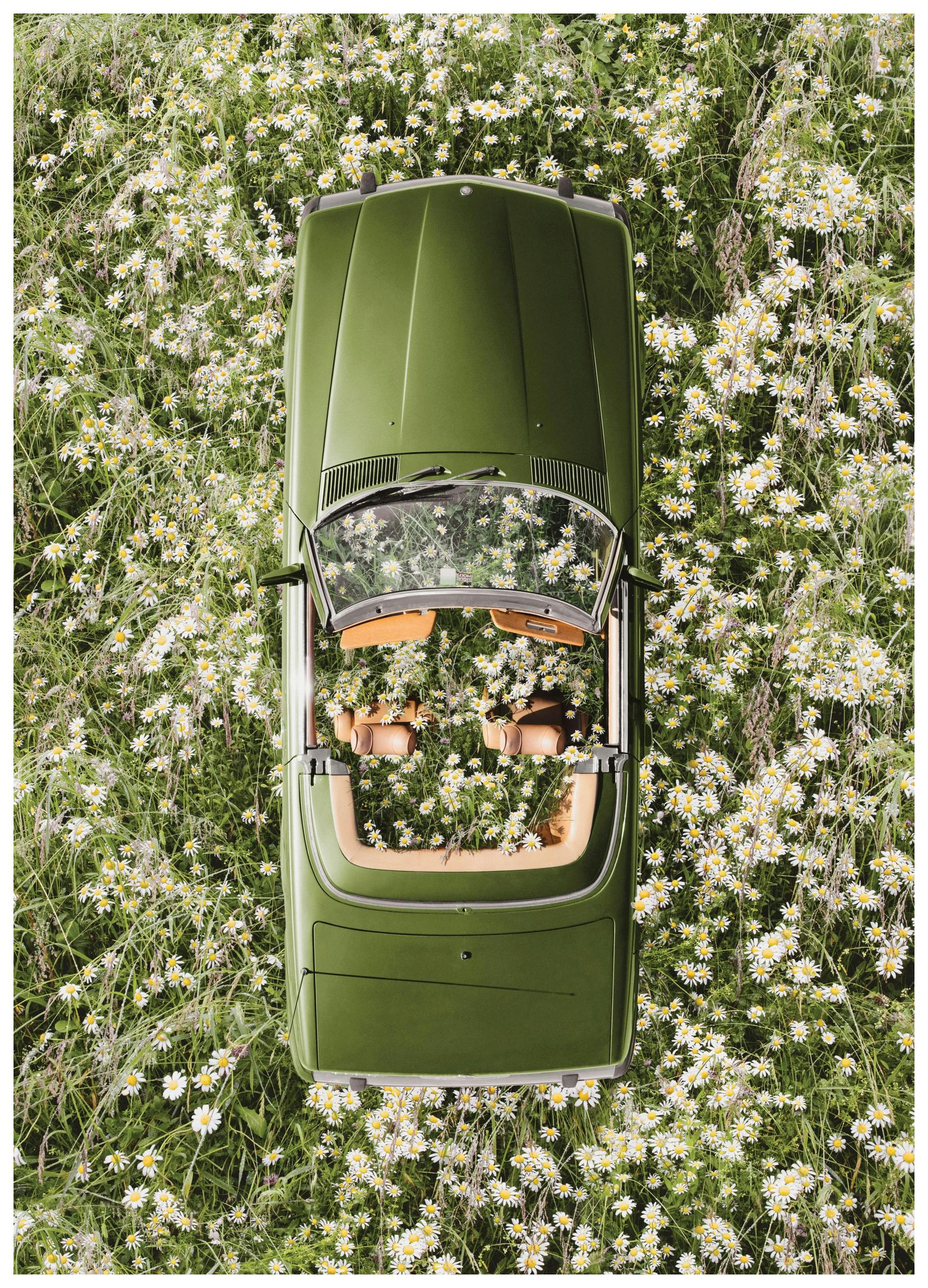 Floral Escape Plakat (50x70 cm) - Plakater > Kunstplakater > Fotokunst