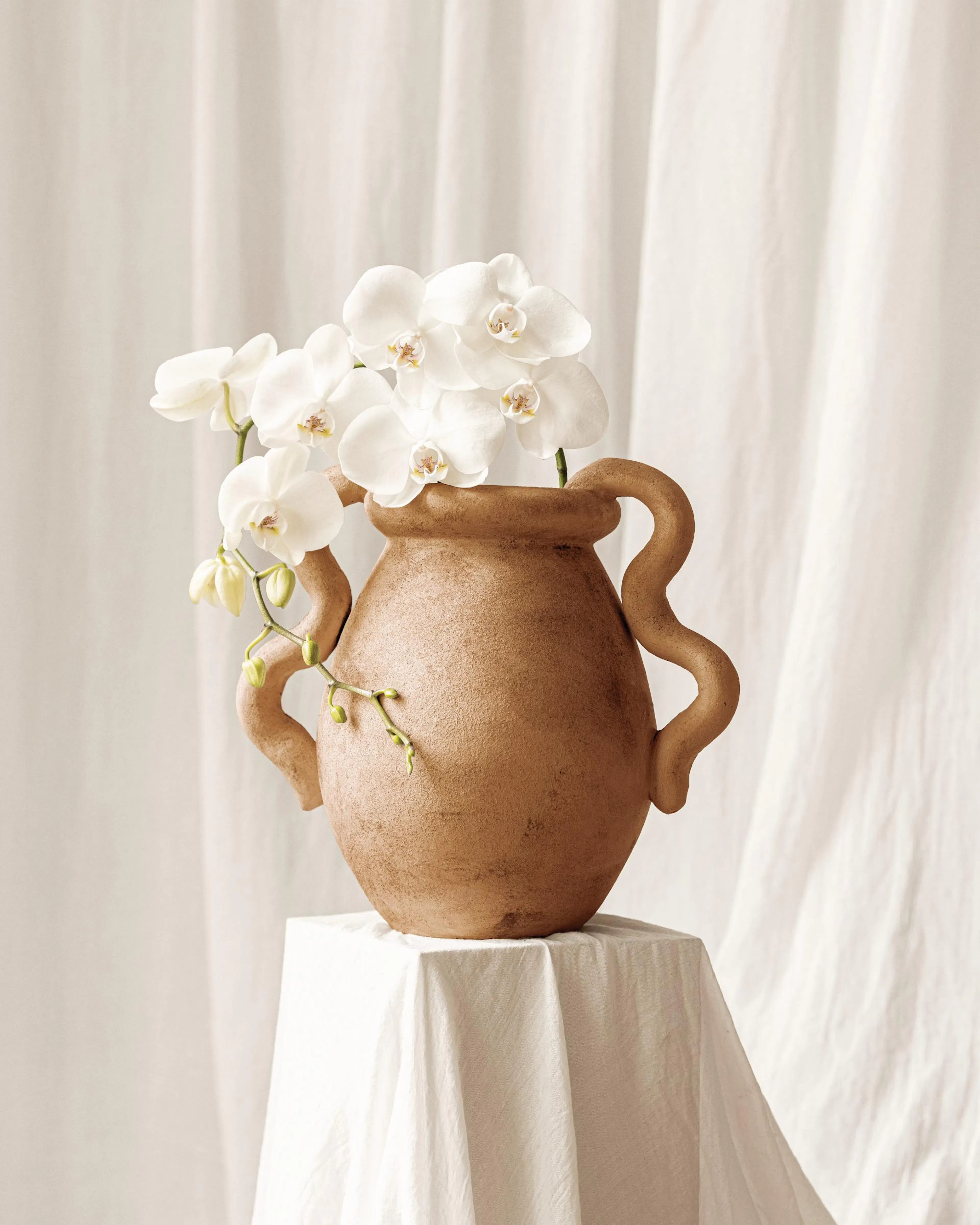 Un póster de orquídeas blancas en un jarrón de terracota sobre una mesa cubierta de tela blanca.