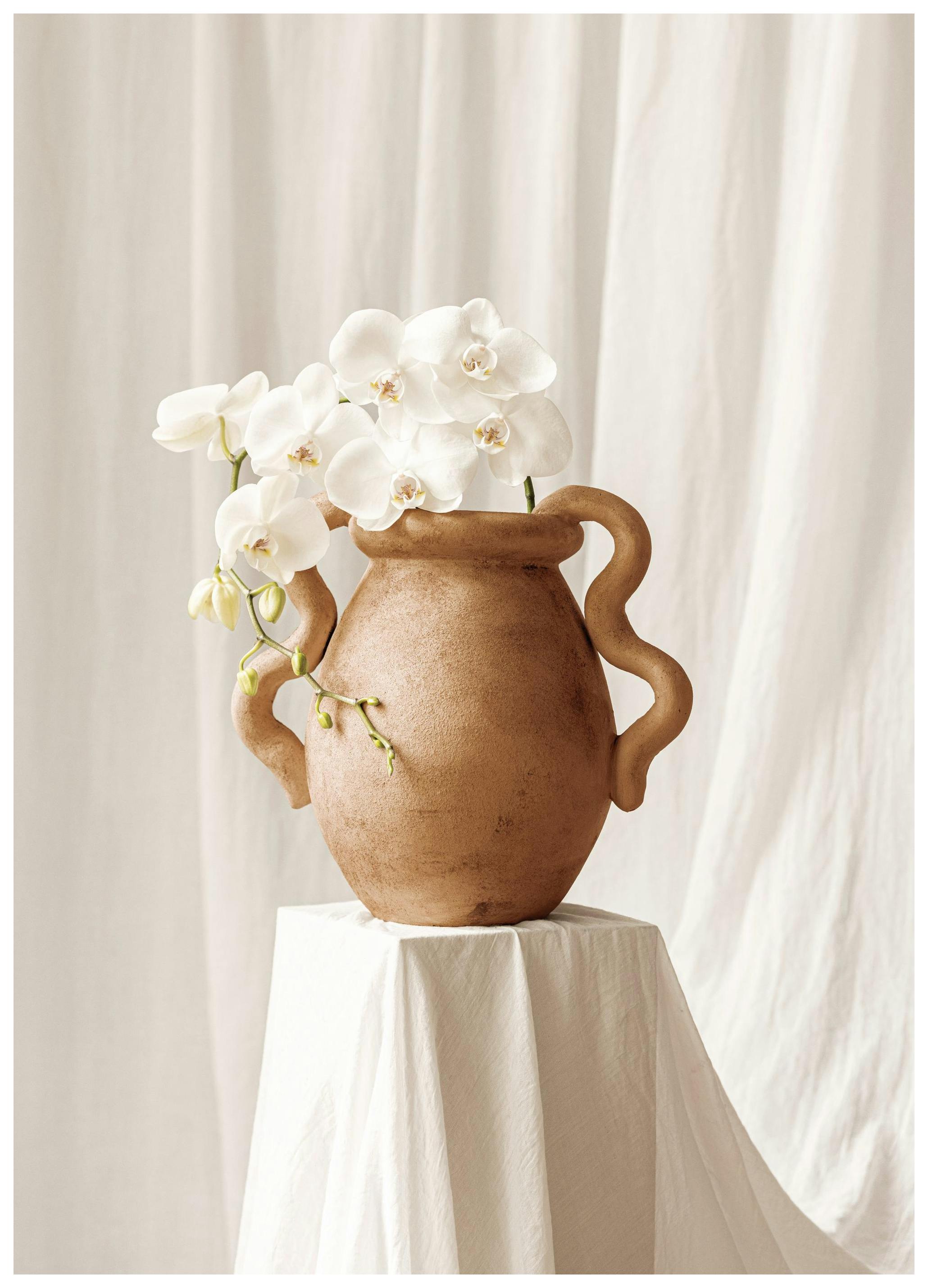 Orchids in Vase Poster (30x40 cm)