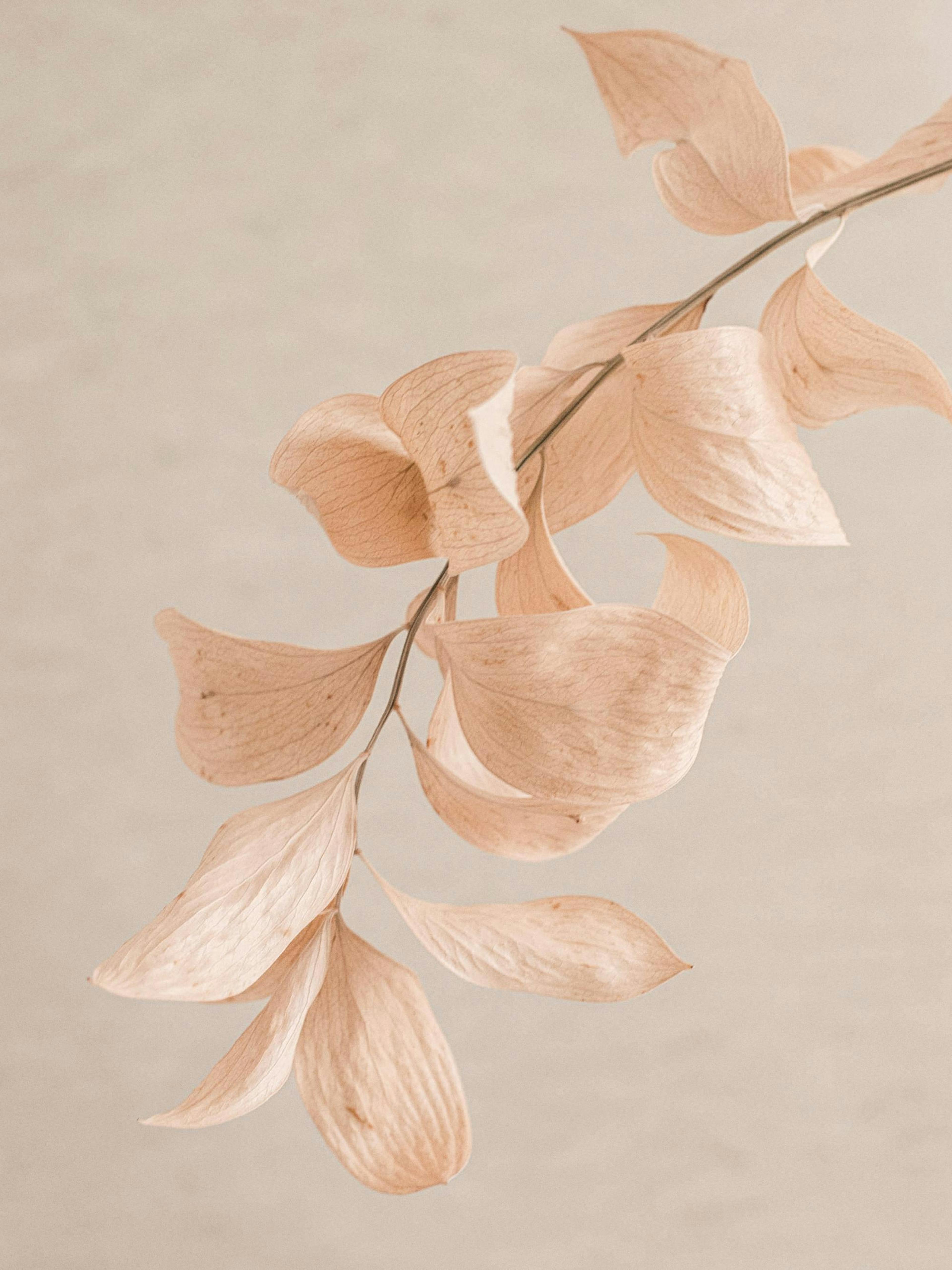 Product image: 1