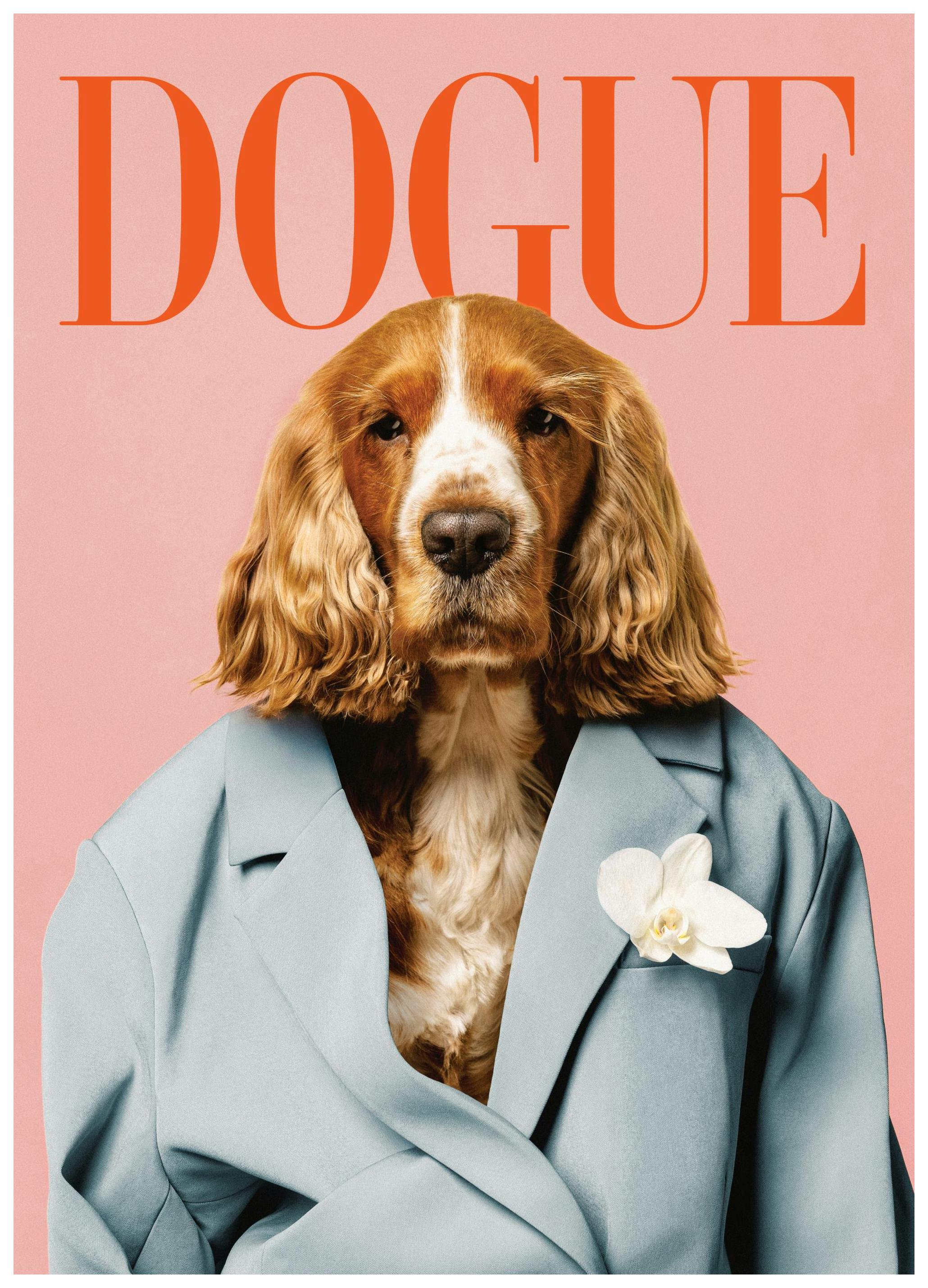 Dogue Poster (21x30 cm) - Fashion posters