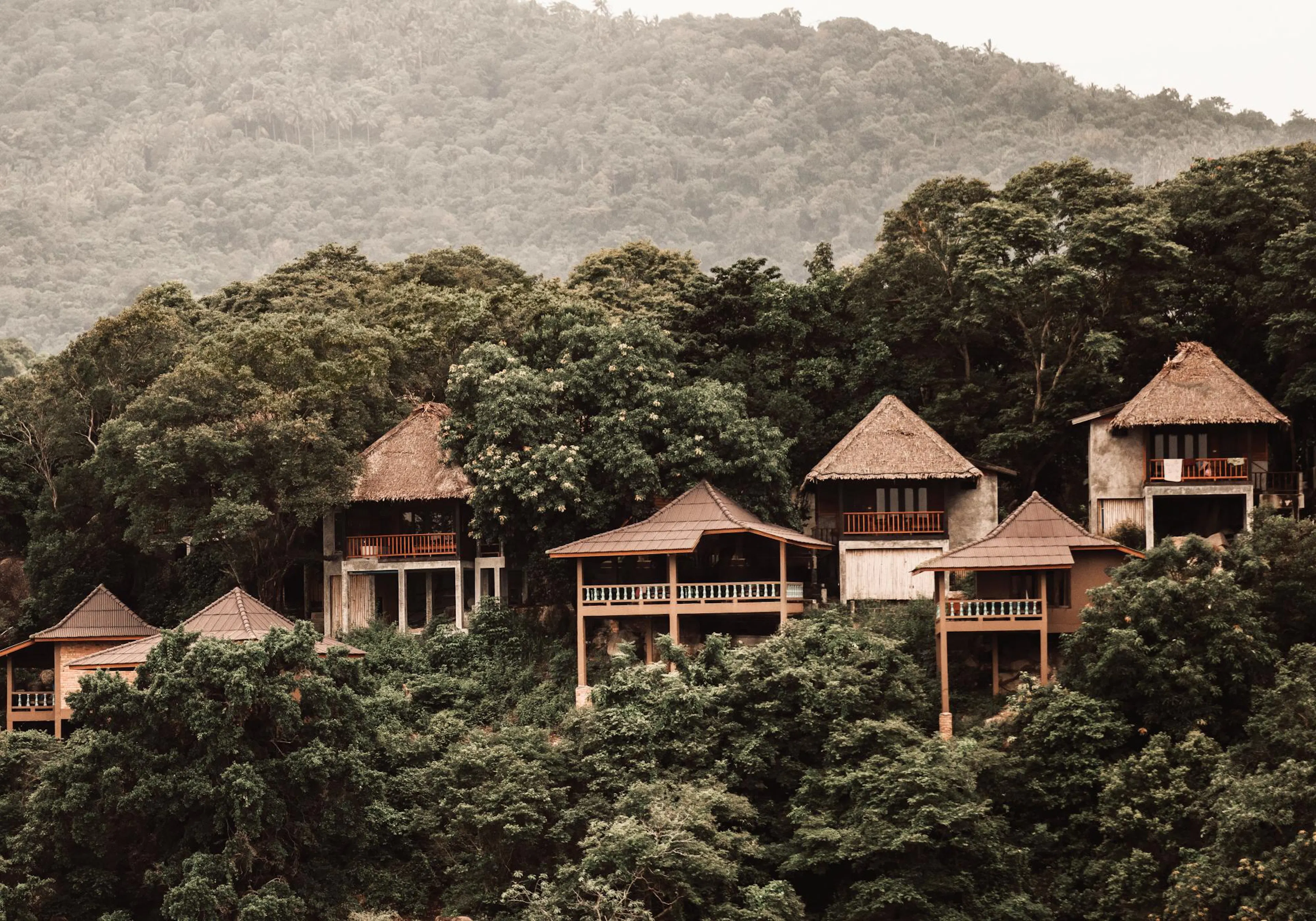 Póster de casas con techos de paja y madera, rodeadas por una densa vegetación tropical y una montaña brumosa.