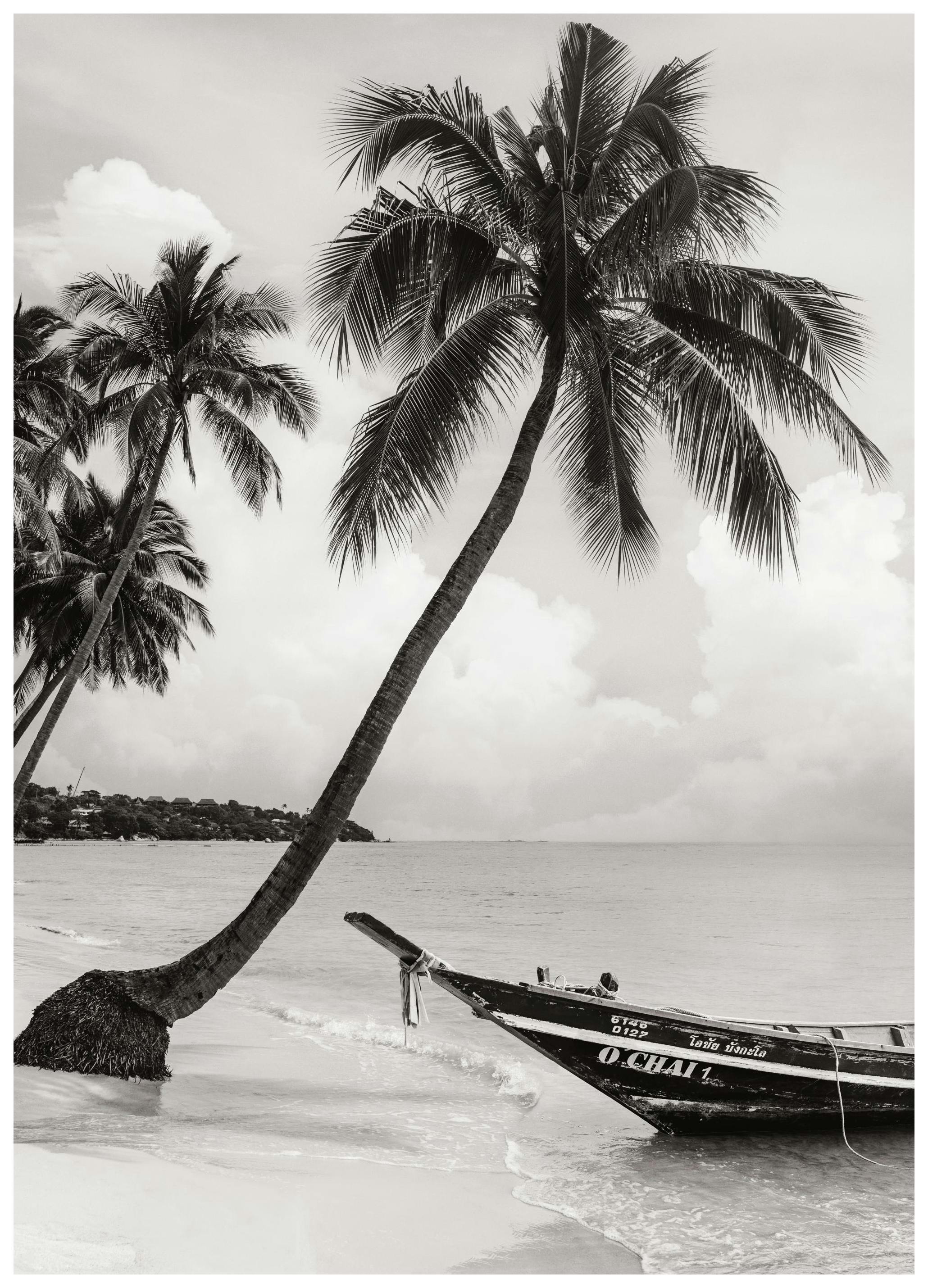 Drifting Dreams Poster (30x40 cm)