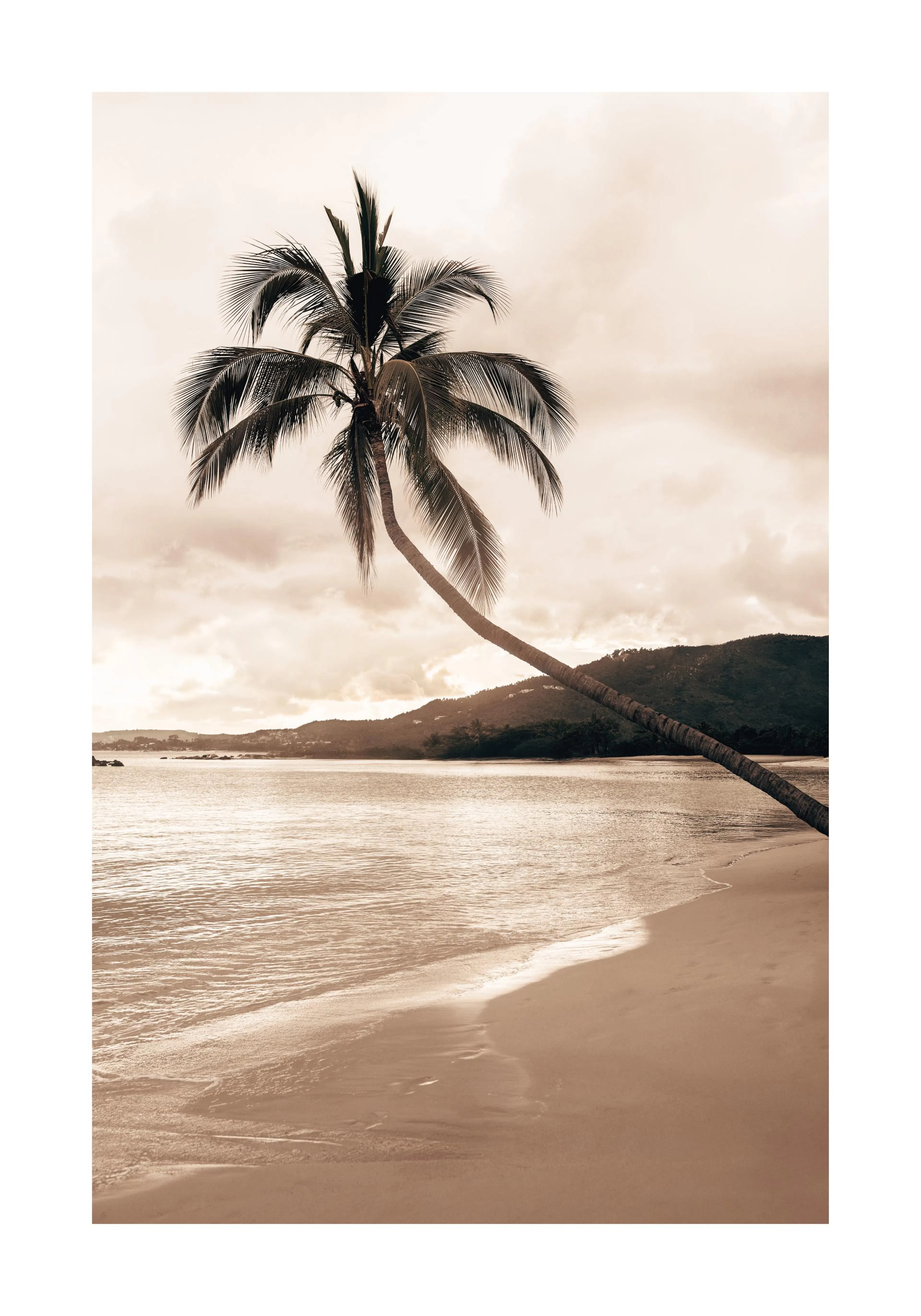 Poster: Eine Palme biegt sich schräg über einen Sandstrand mit ruhigem Wasser unter einem bewölkten Himmel.