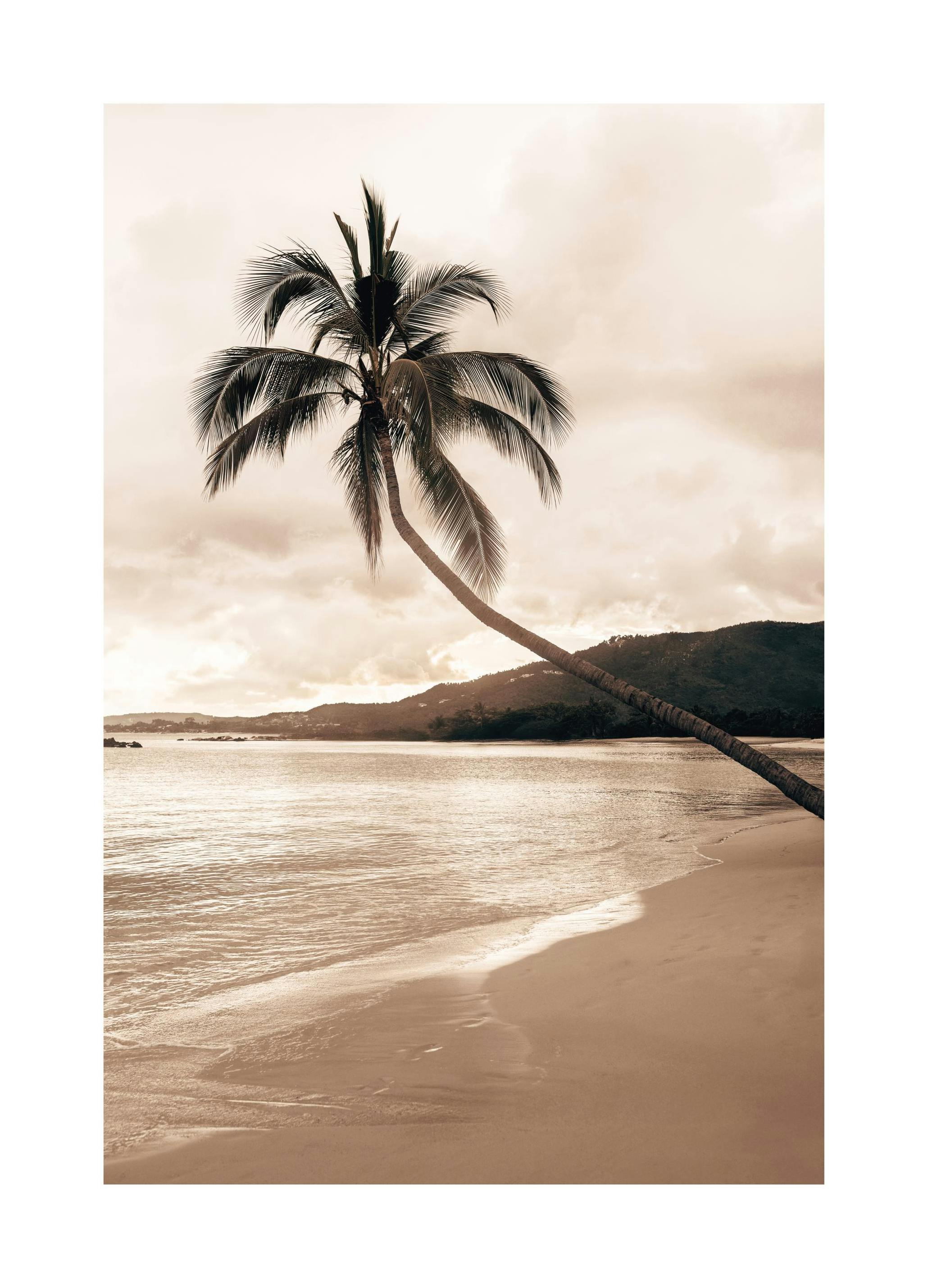 Golden Palm Trees Poster (70x100 cm)