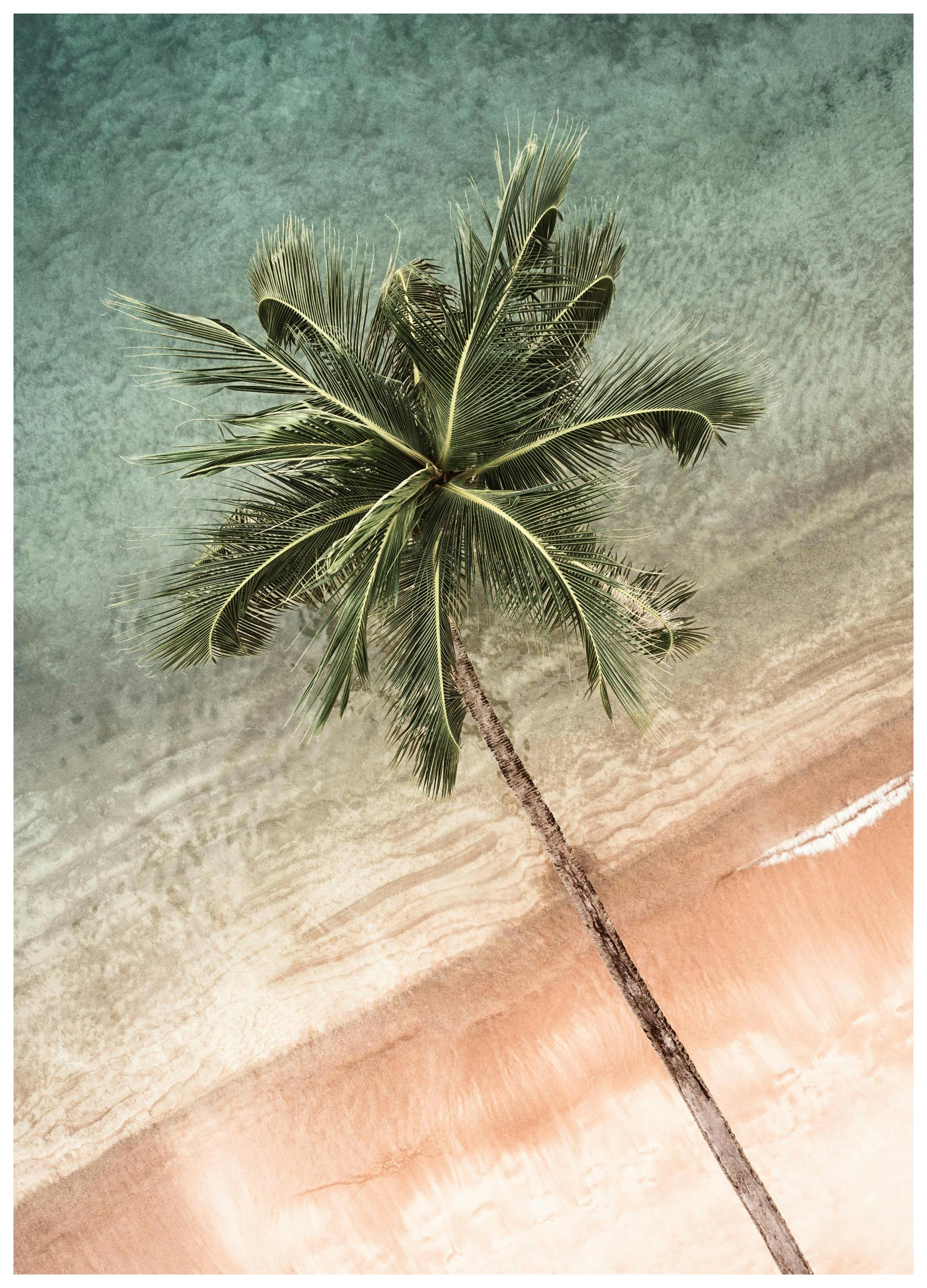 Coastal Crown Poster (70x100 cm)- Quadri di spiagge