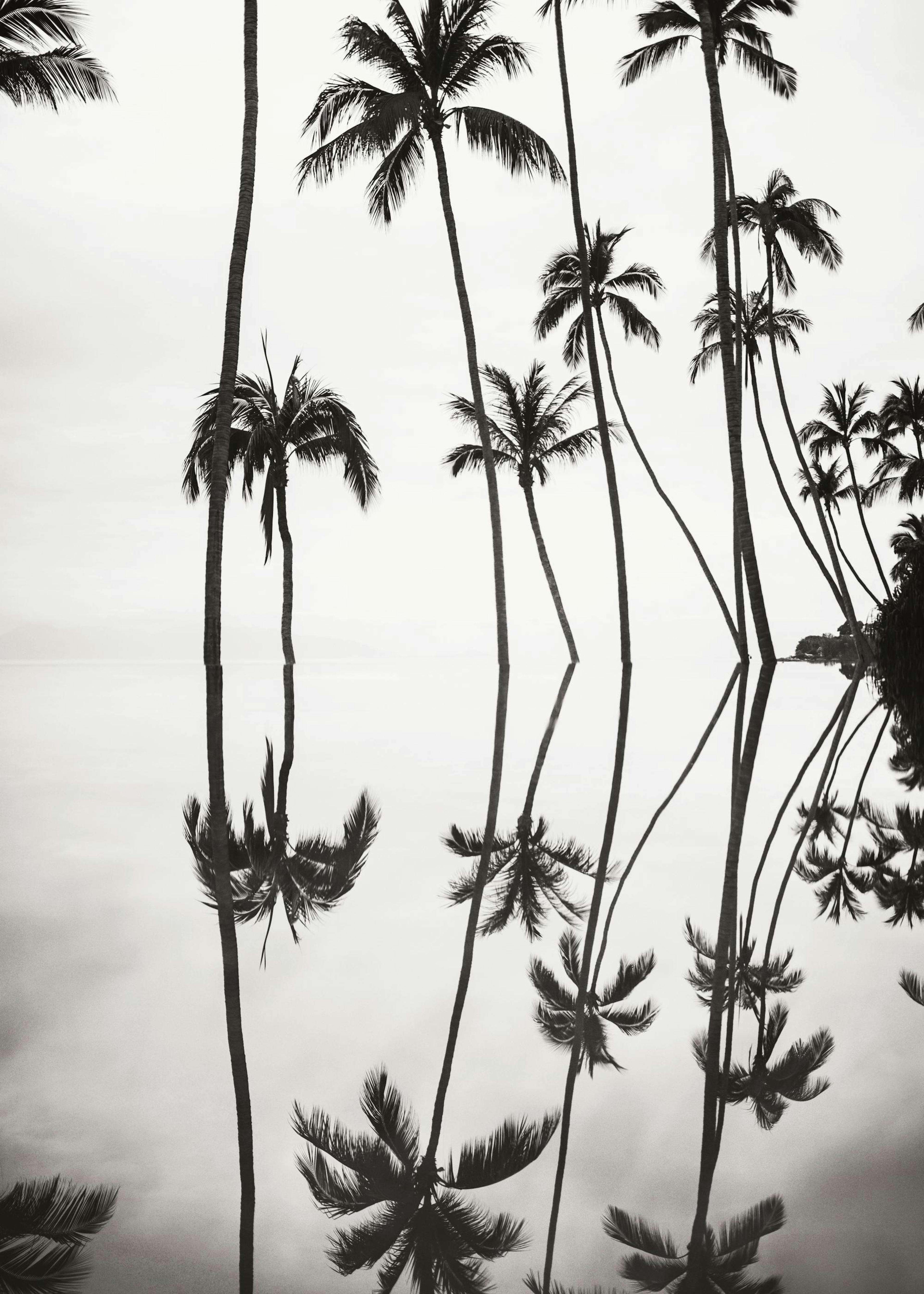 Tranquil Reflection Plakat 0