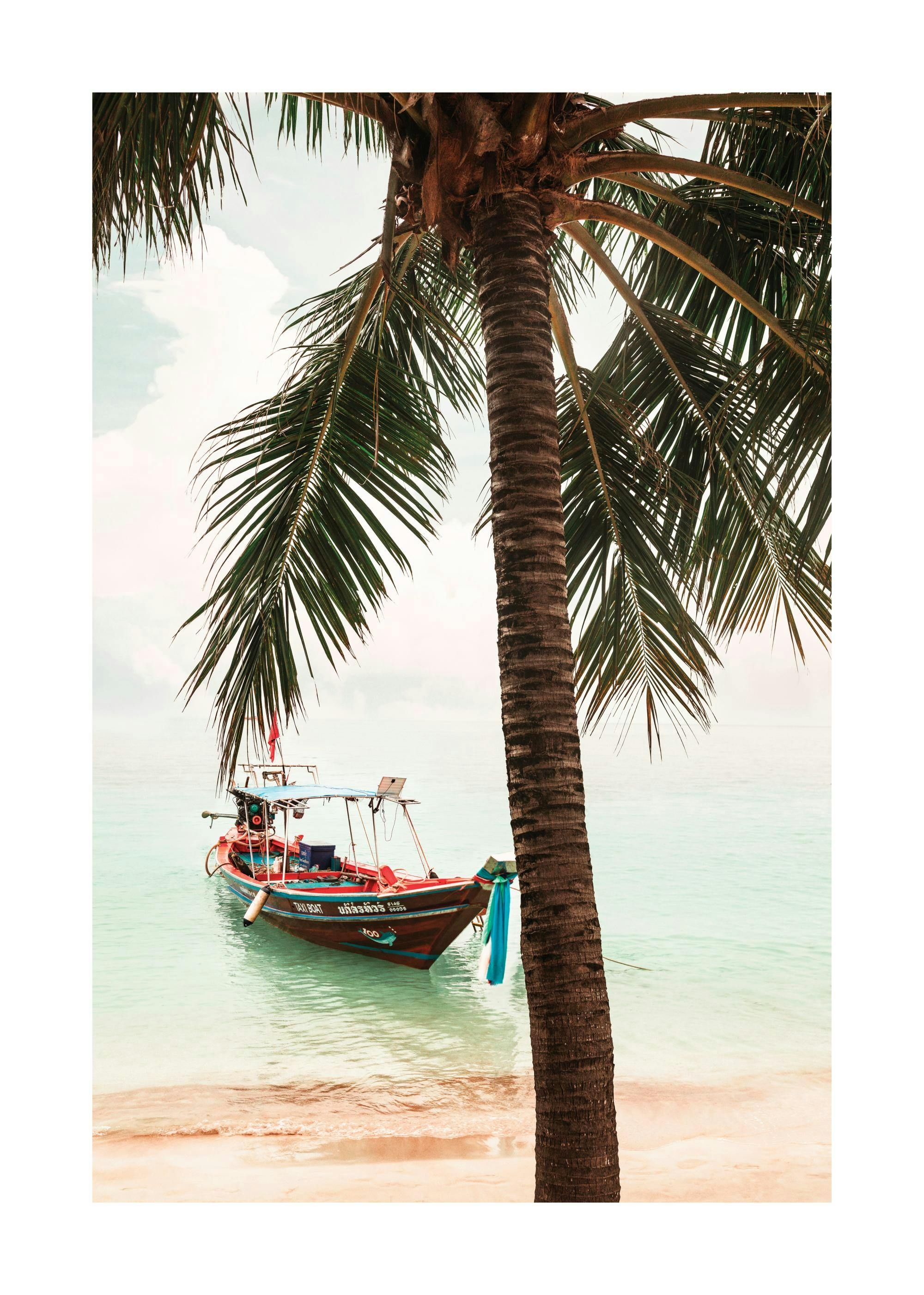 En plakat av en longtailbåt på turkist vann, med en palme i forgrunnen og en sandstrand.