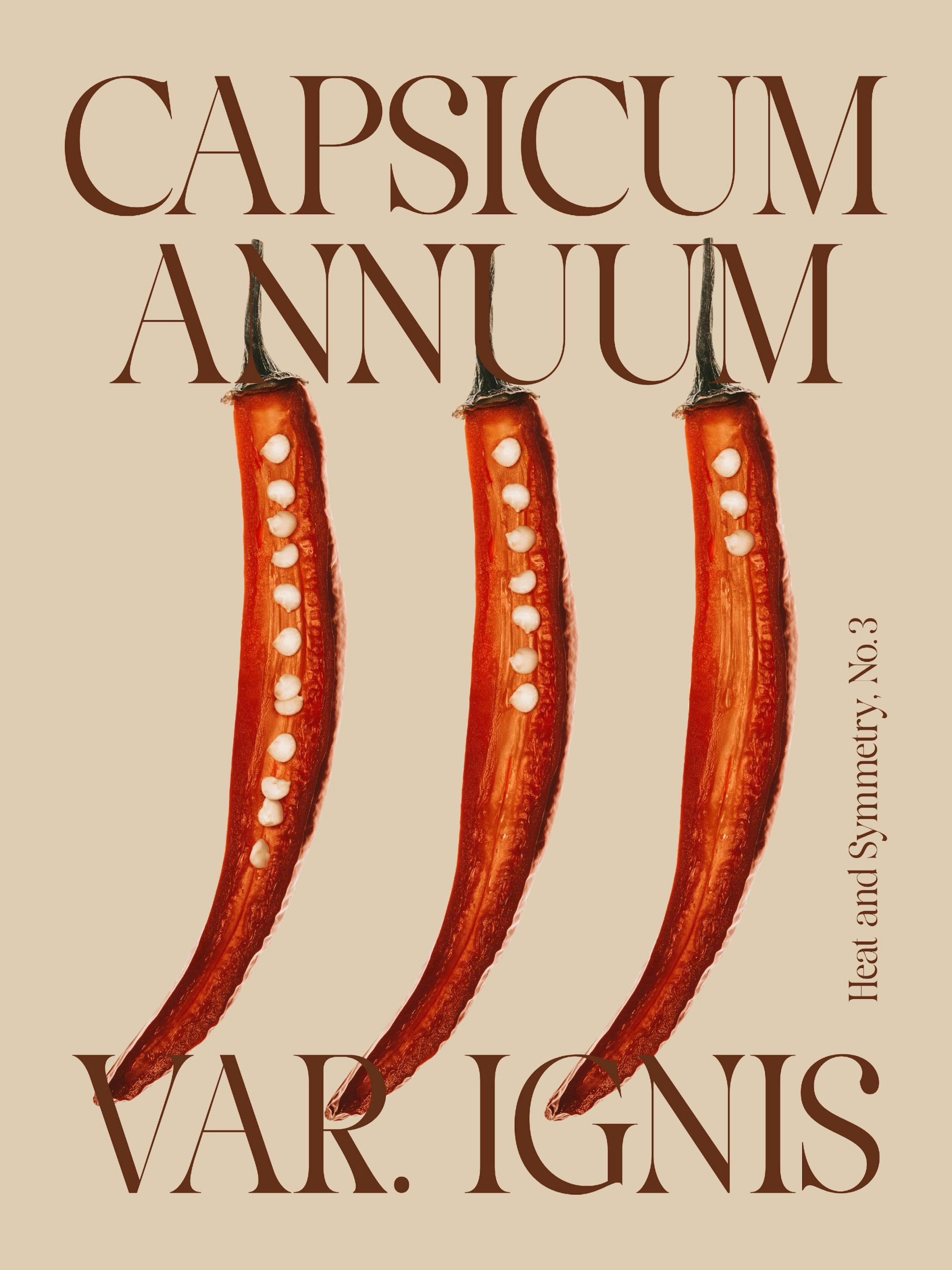 A minimalist print featuring three red chili peppers, cut open to reveal white seeds, on a beige background.