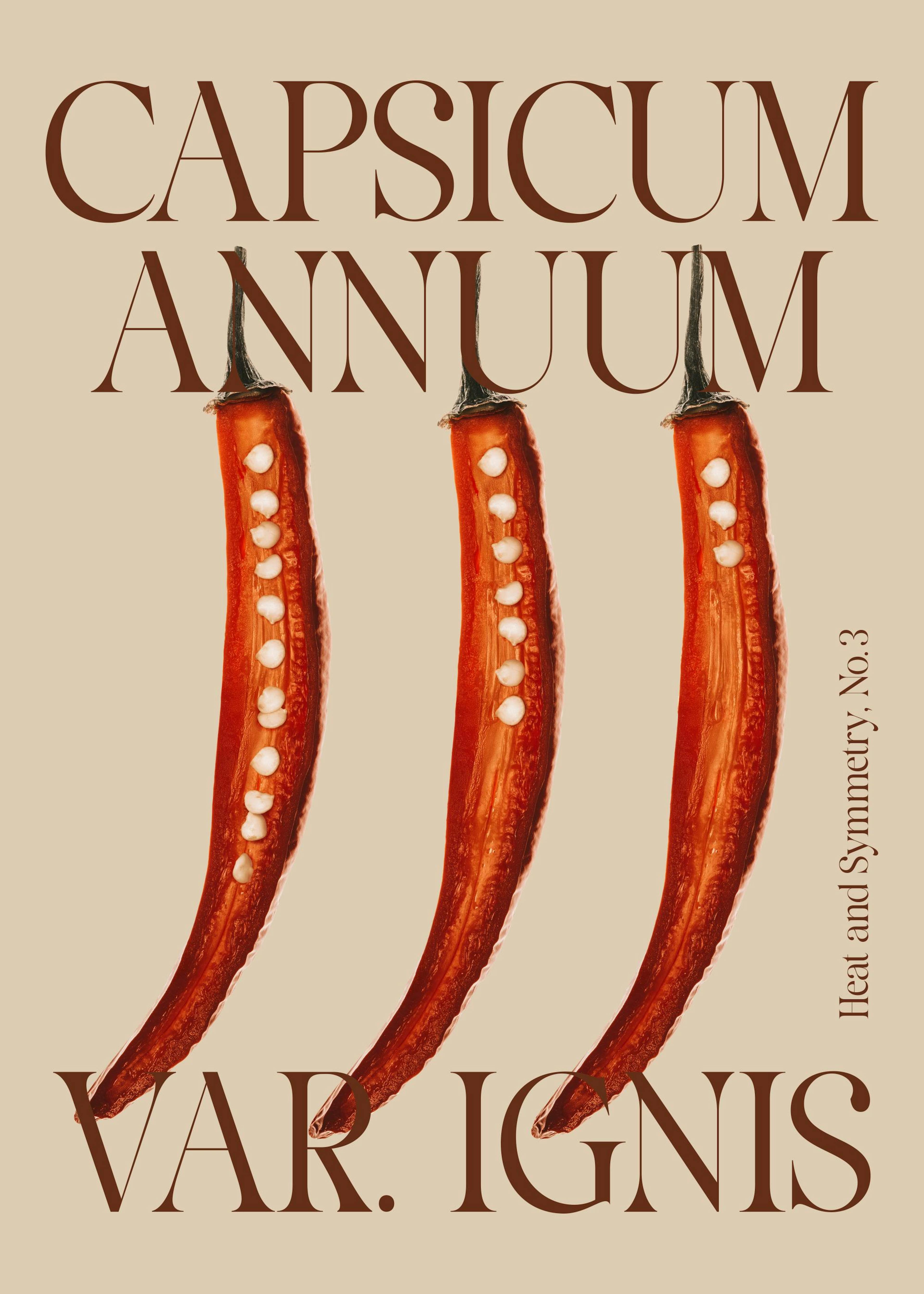 A minimalist print featuring three red chili peppers, cut open to reveal white seeds, on a beige background.
