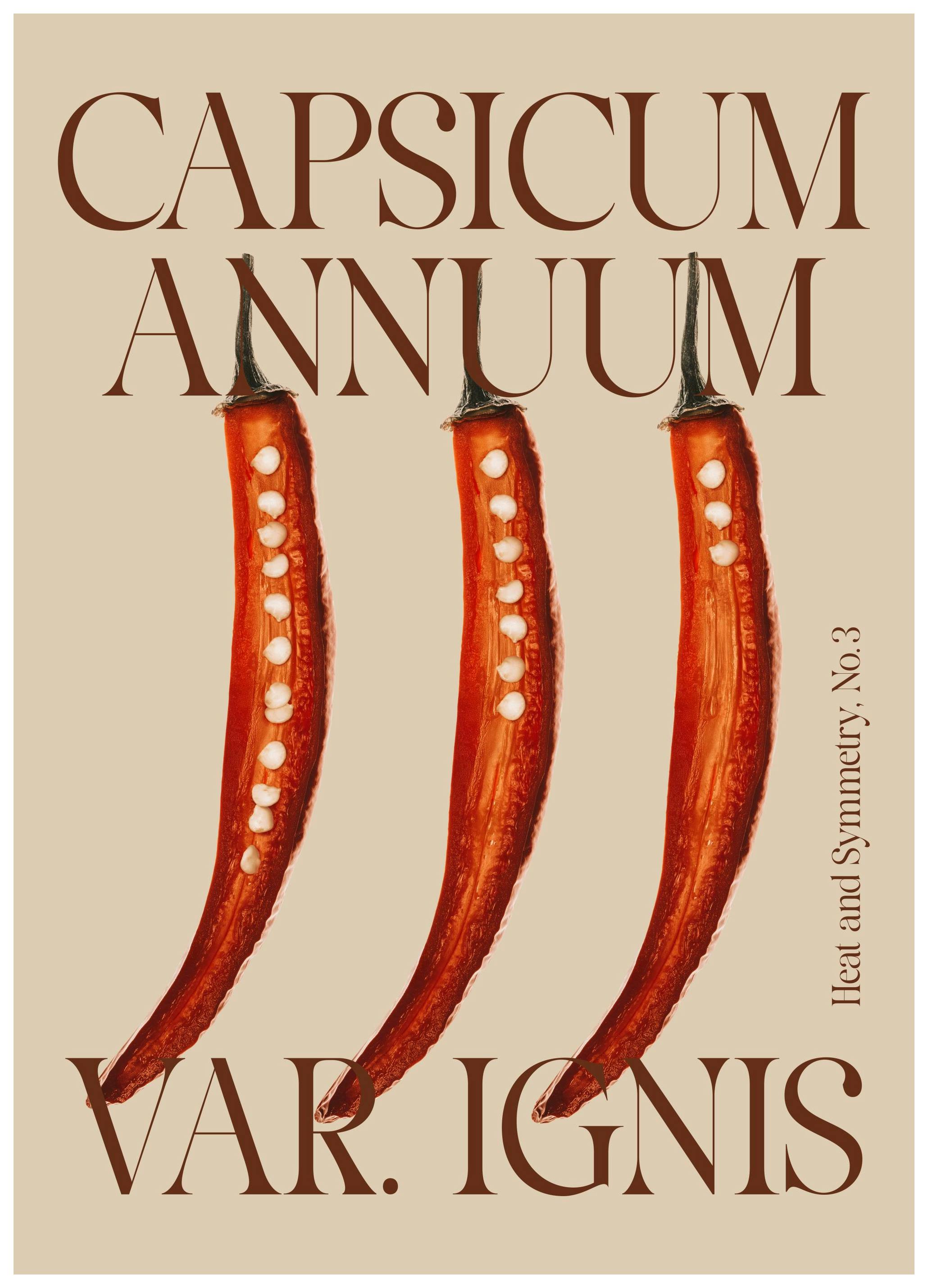 Fiery Chili Pepper Poster (30x40 cm)