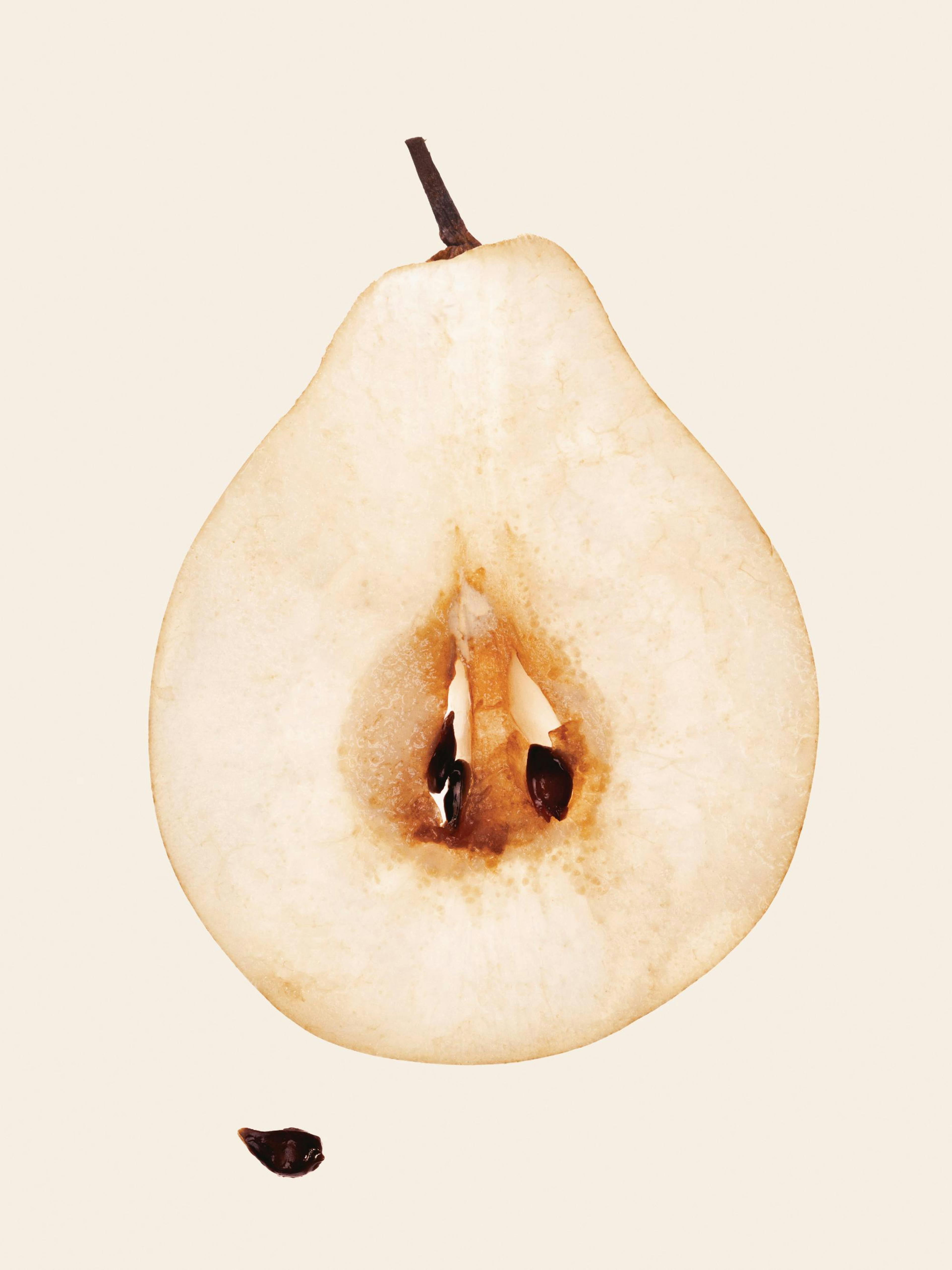 A print of a vertically sliced pear, revealing its light brown flesh and dark seeds on a pale background.