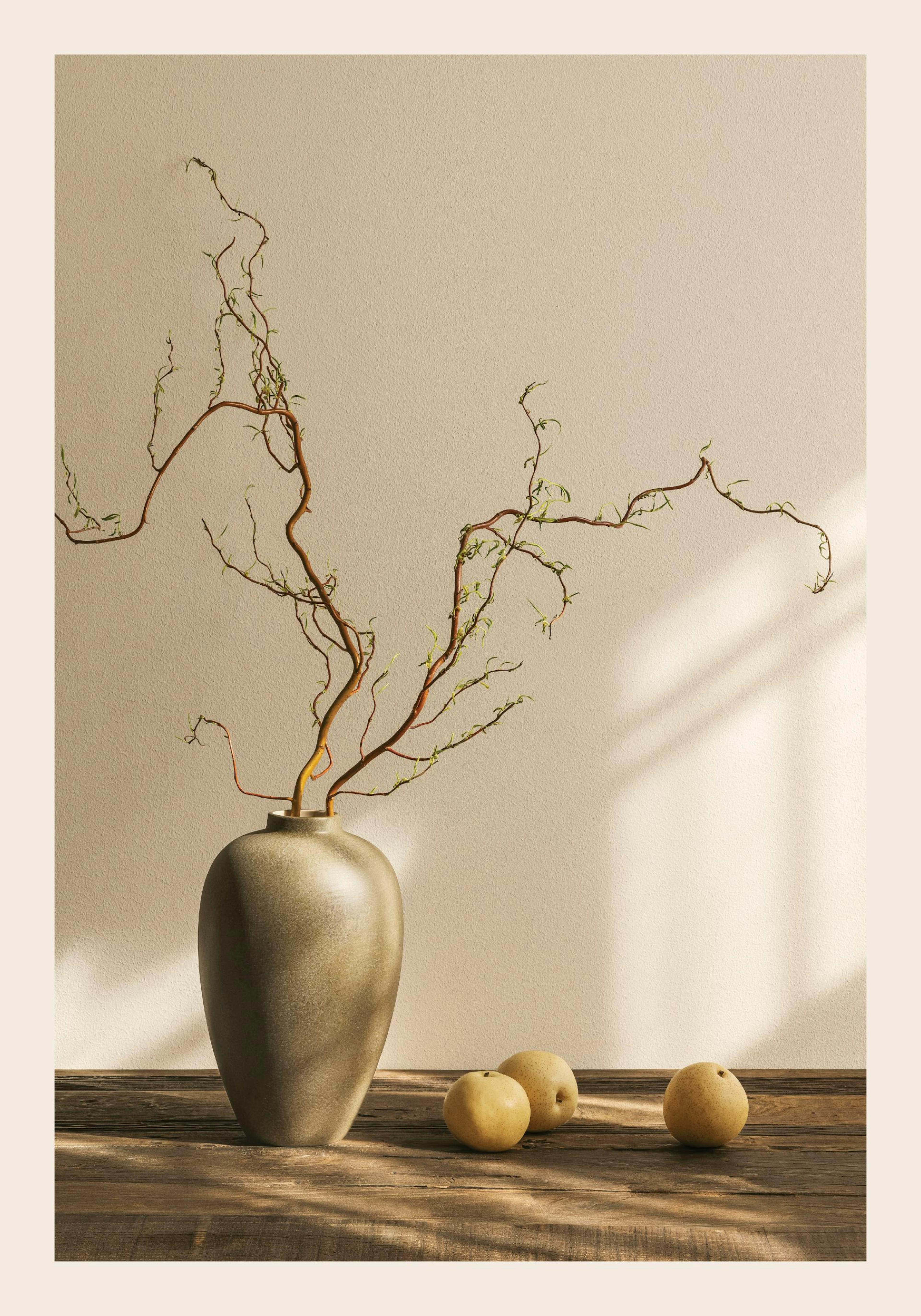 A still life print featuring a brown vase with curly branches and three light yellow Asian pears on a wooden table.