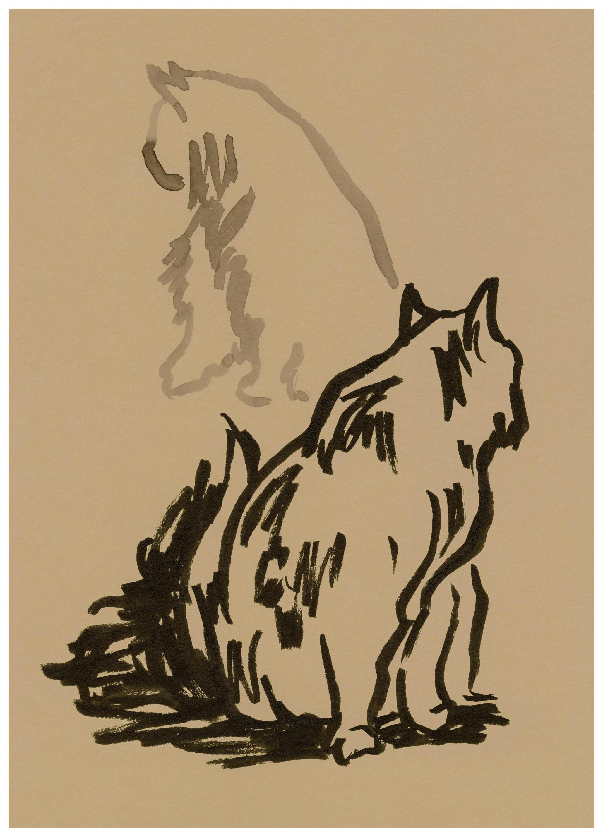 Study of Cat Poster (50x70 cm)