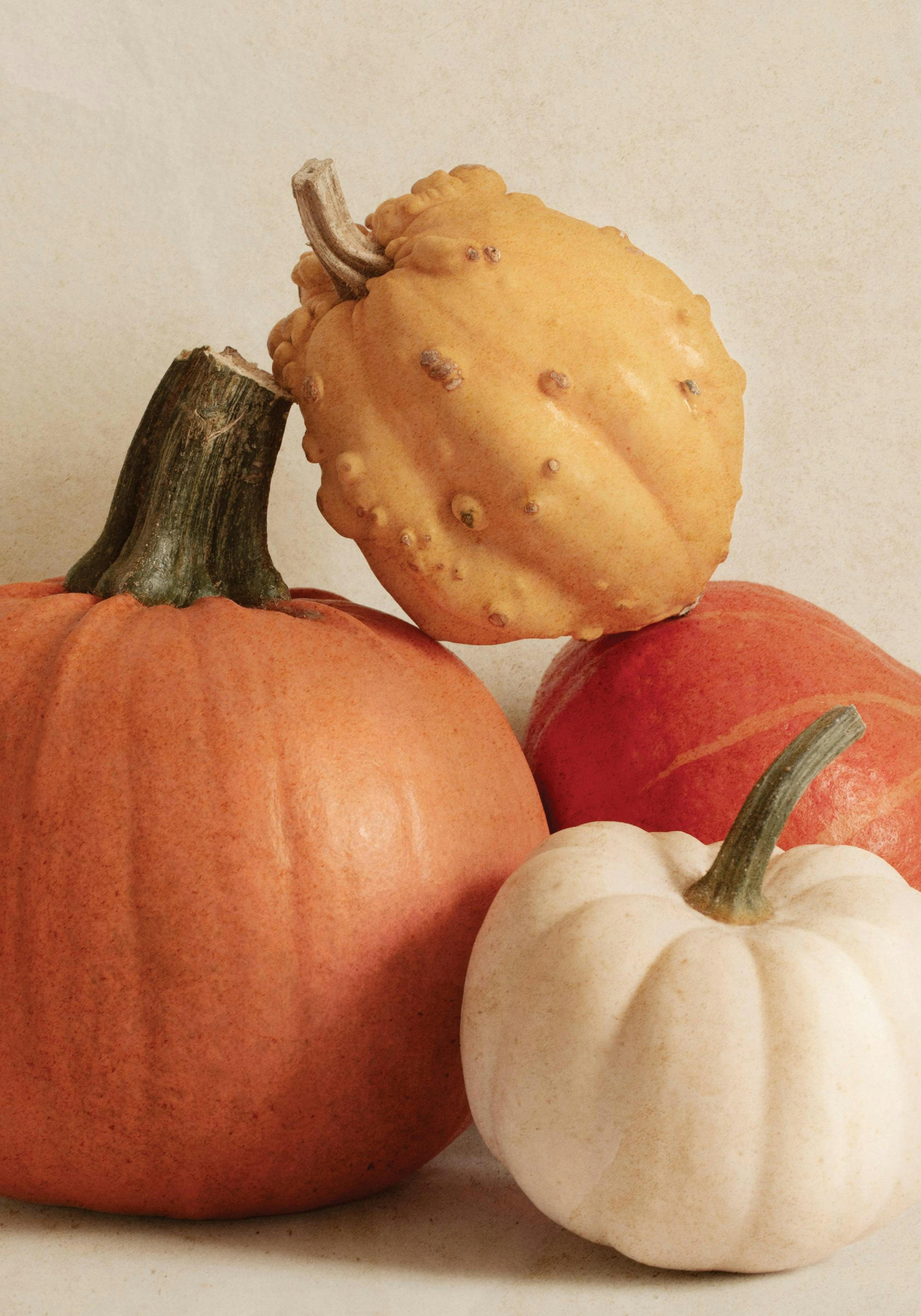 Affiche avec trois citrouilles et une courge décorative aux couleurs automnales sur un fond clair.