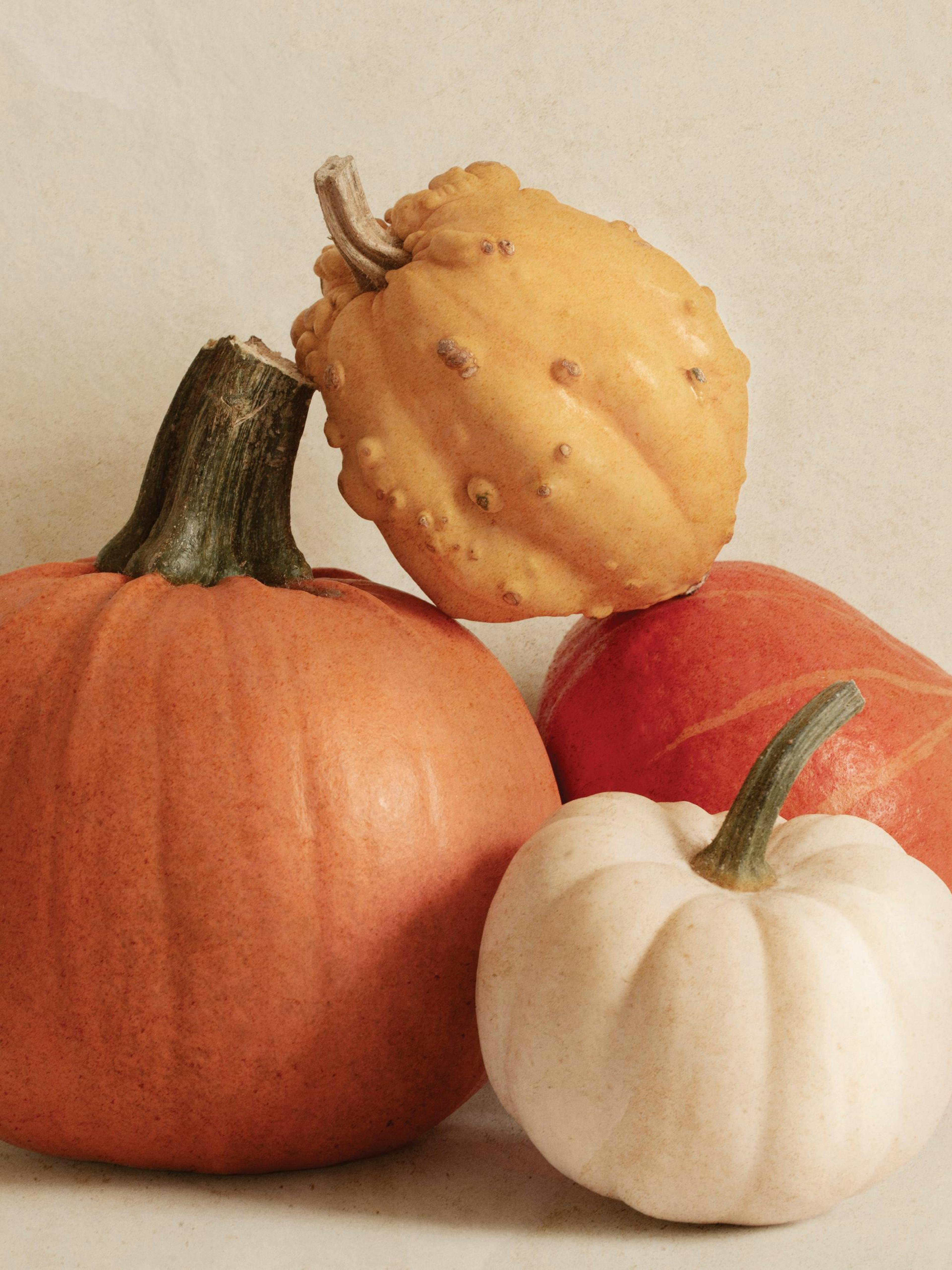 Een poster met een herfststilleven van oranje, rode, en crème sierpompoenen en kalebassen.