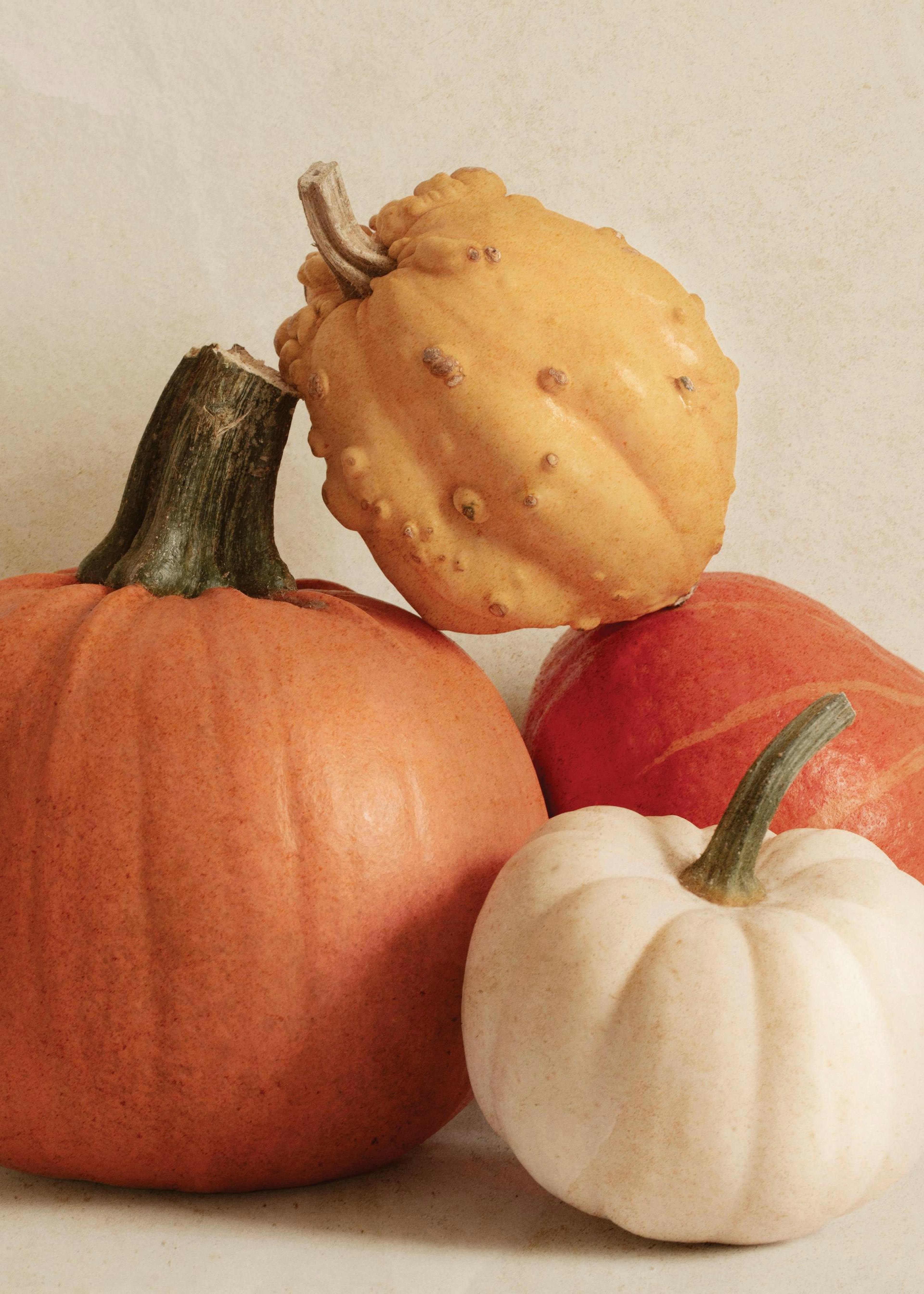 A seasonal print showcasing a cluster of orange, red, white, and yellow pumpkins and gourds on a light background.