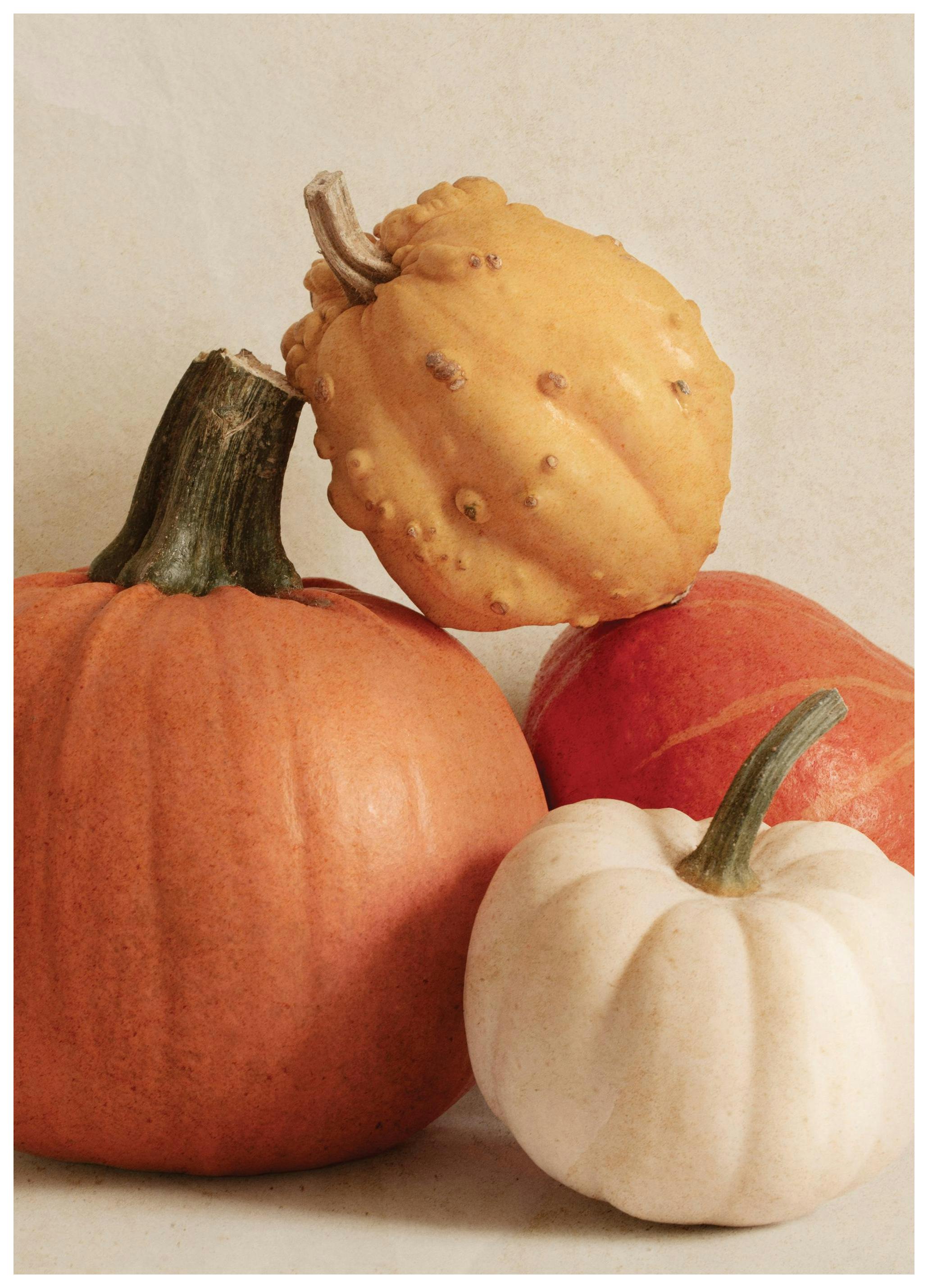 Pile of Pumpkins Affiche (21x30 cm) - Affiches automnales par Desenio